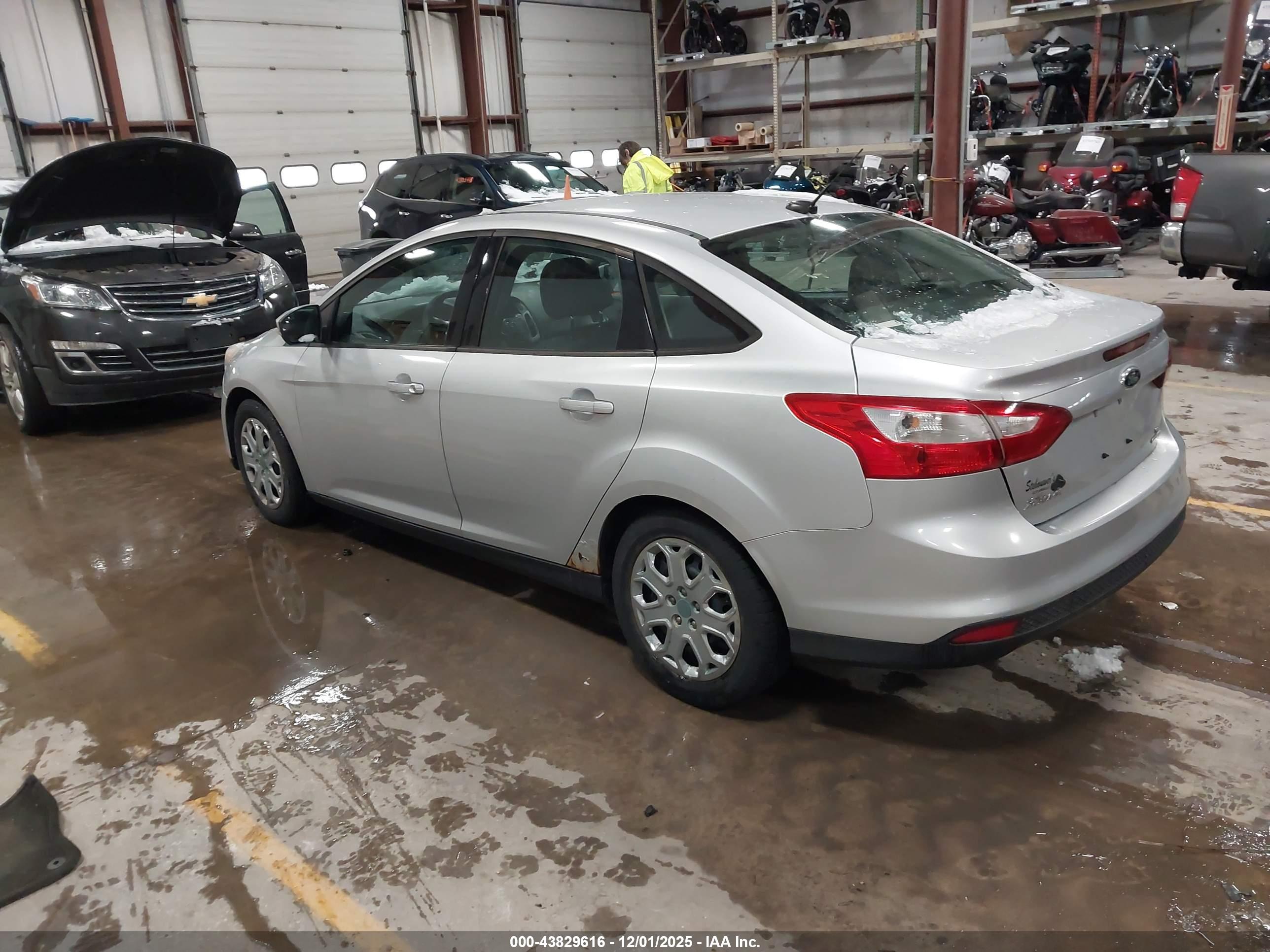 FORD FOCUS image 3