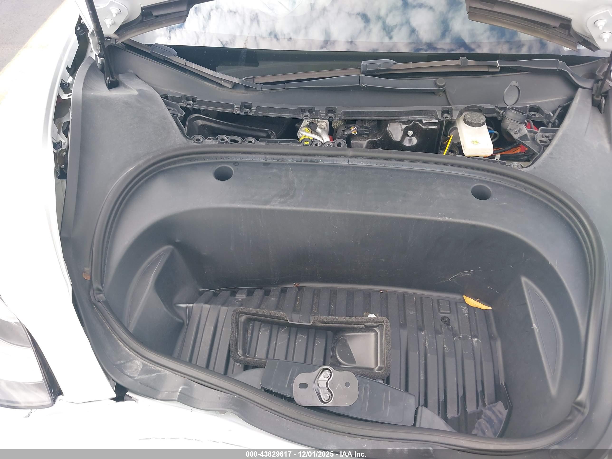 TESLA MODEL image 10