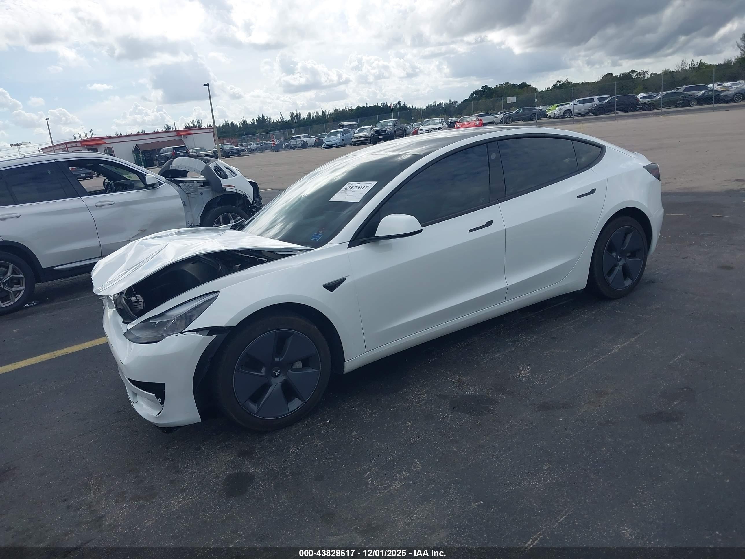 TESLA MODEL image 2