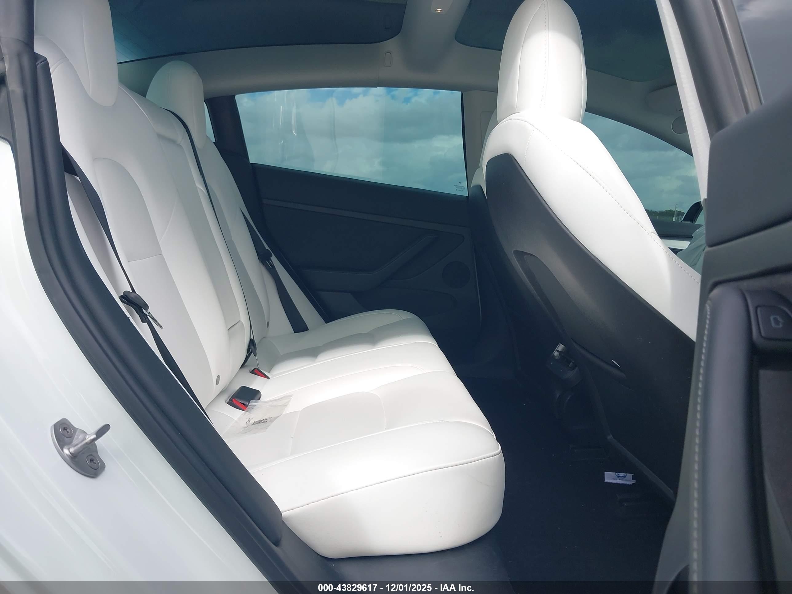 TESLA MODEL image 8