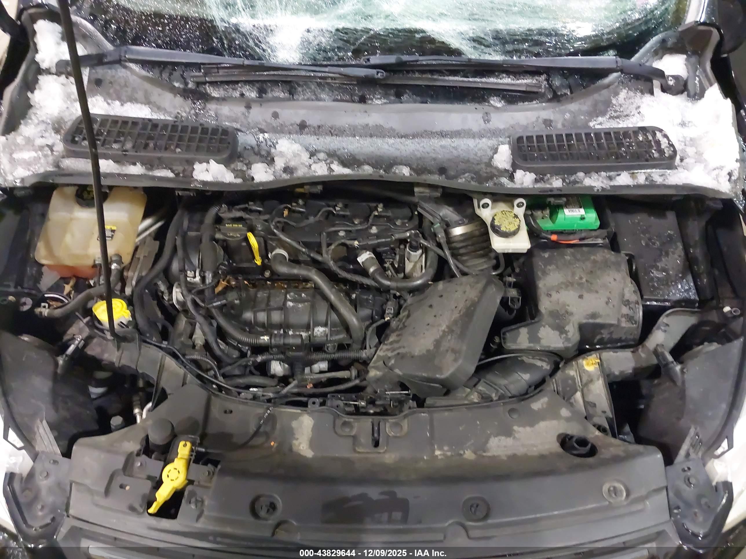 FORD ESCAPE image 10