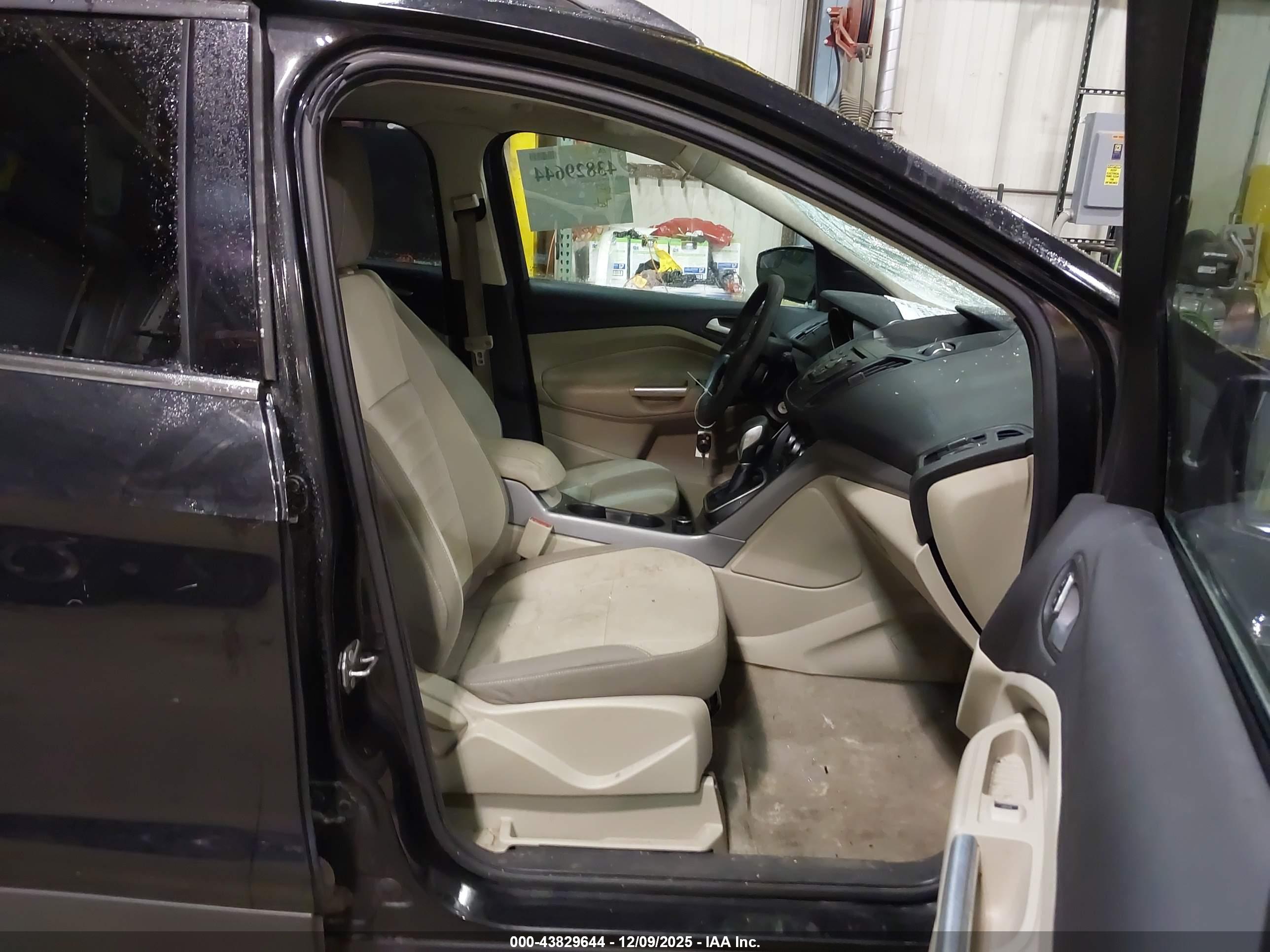 FORD ESCAPE image 5