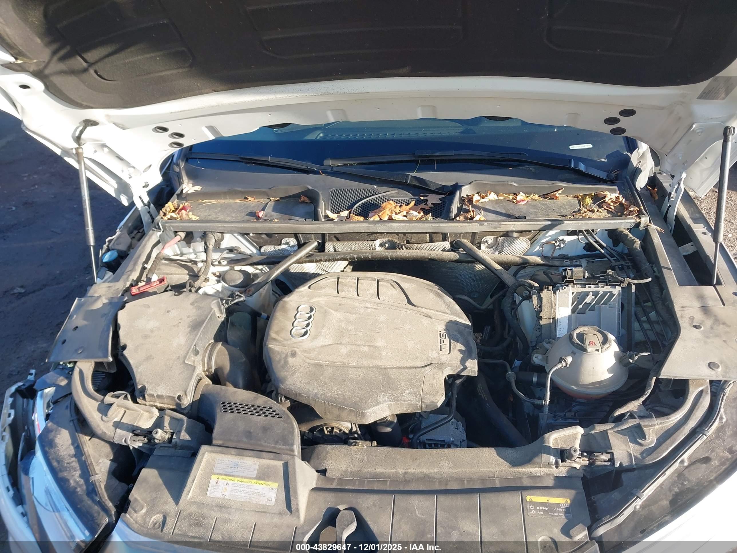 AUDI Q5 image 10