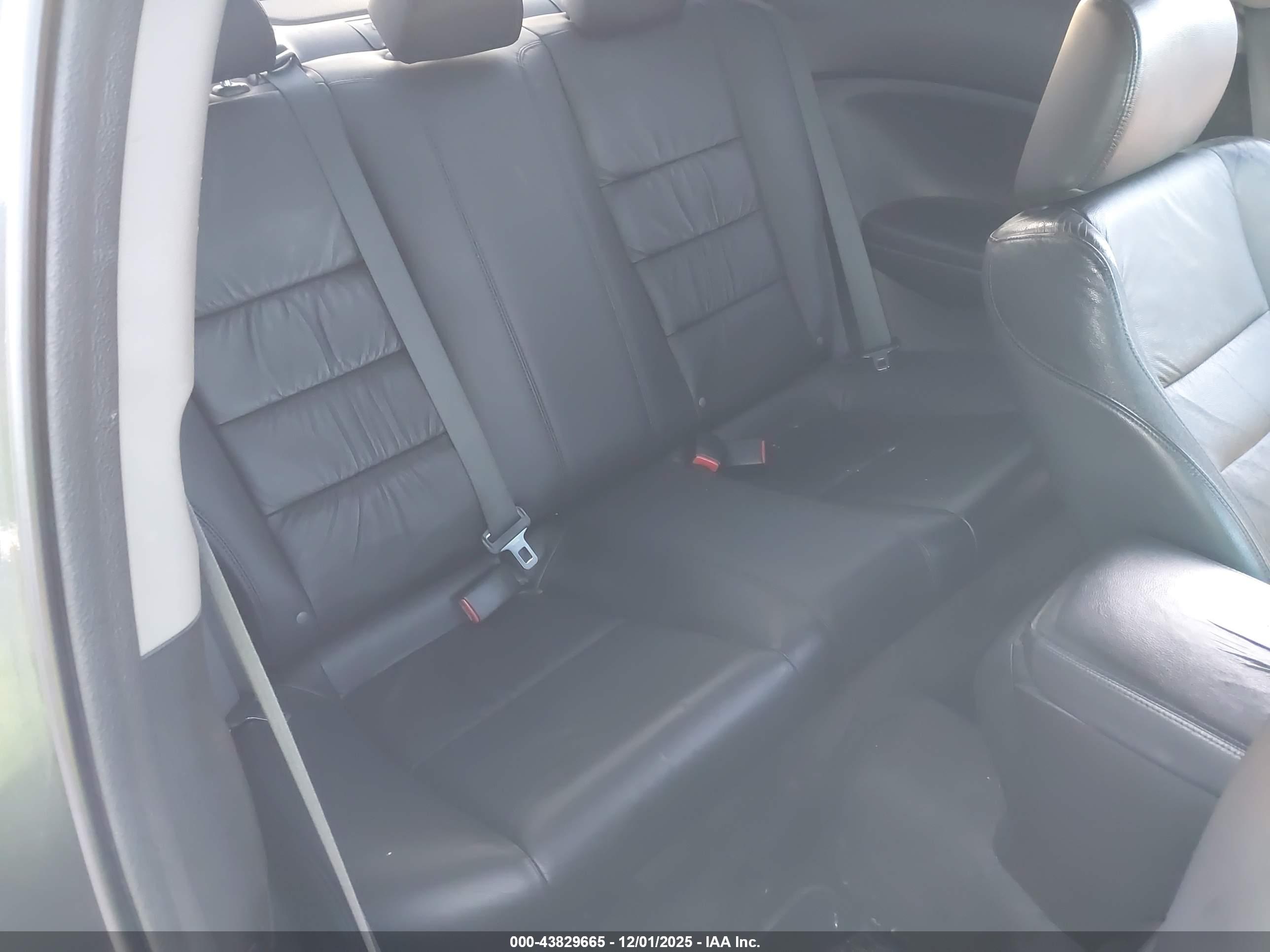 HONDA ACCORD image 8
