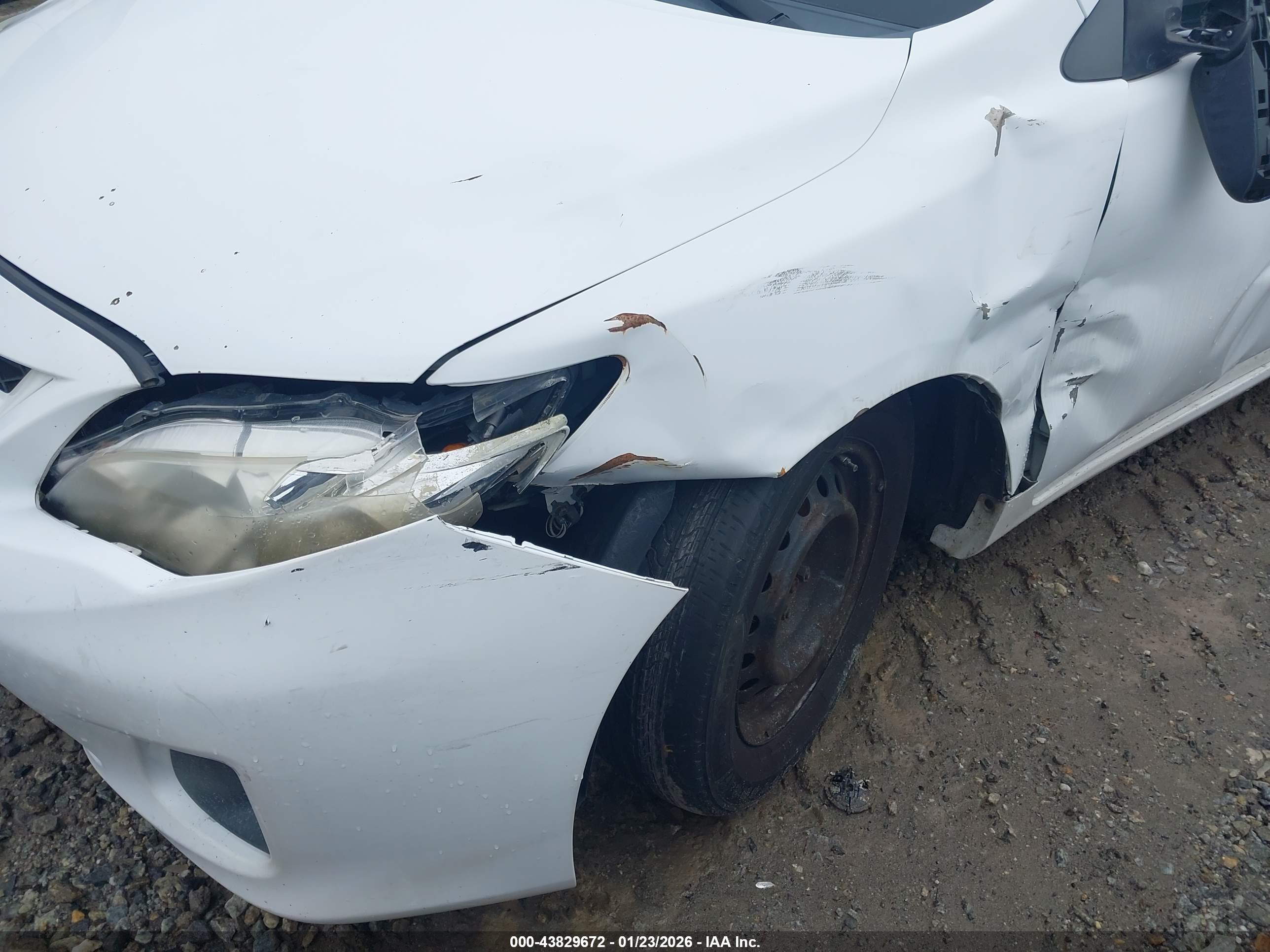 TOYOTA COROLLA image 6