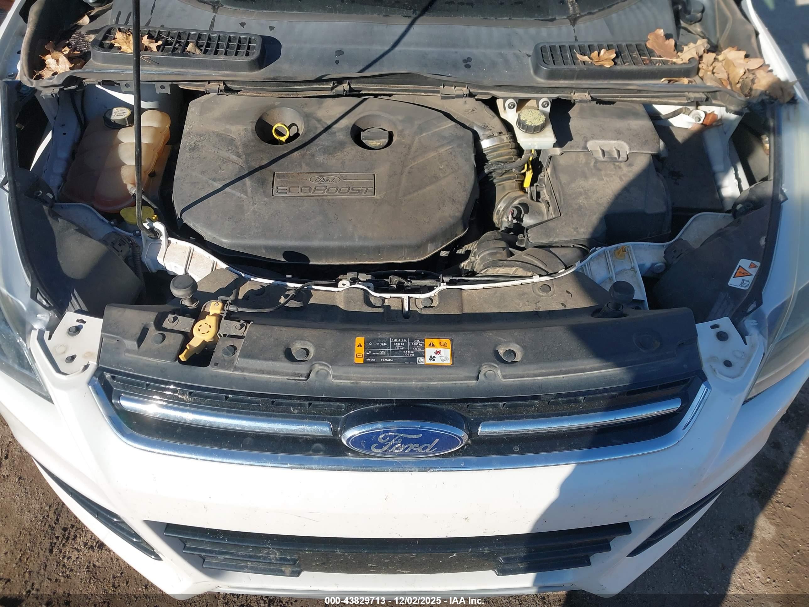 FORD ESCAPE image 10