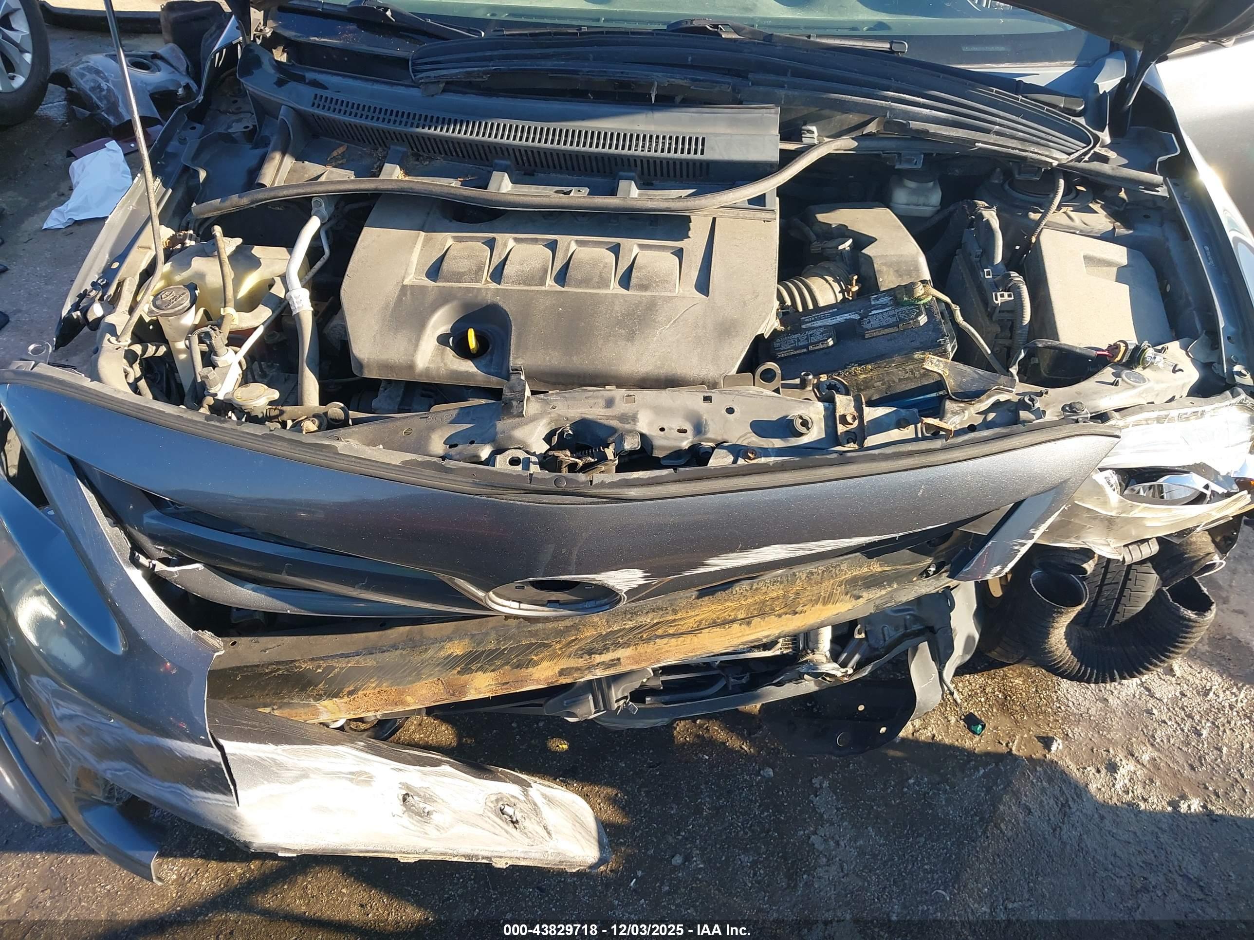 TOYOTA COROLLA image 10