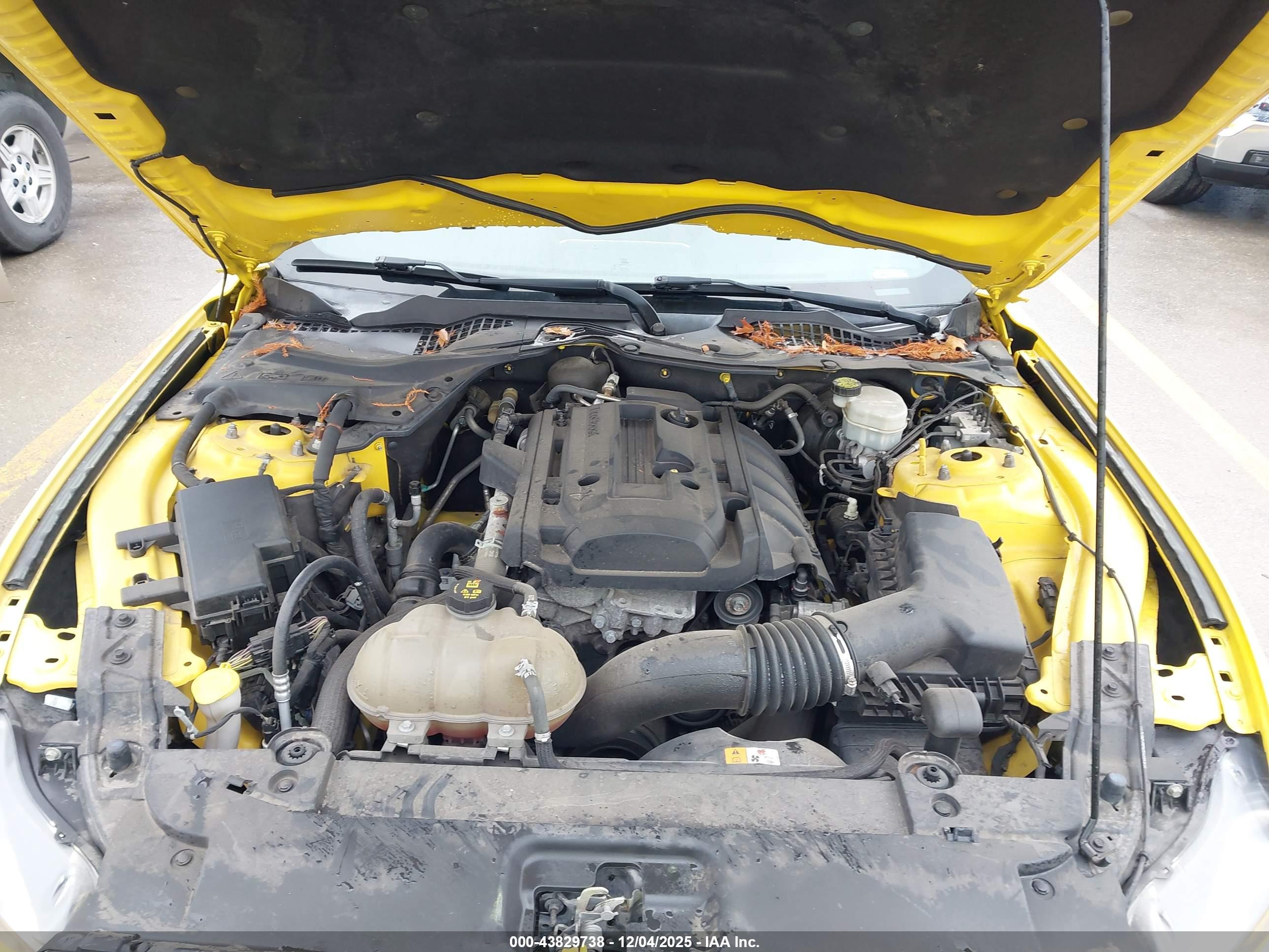 FORD MUSTANG image 10