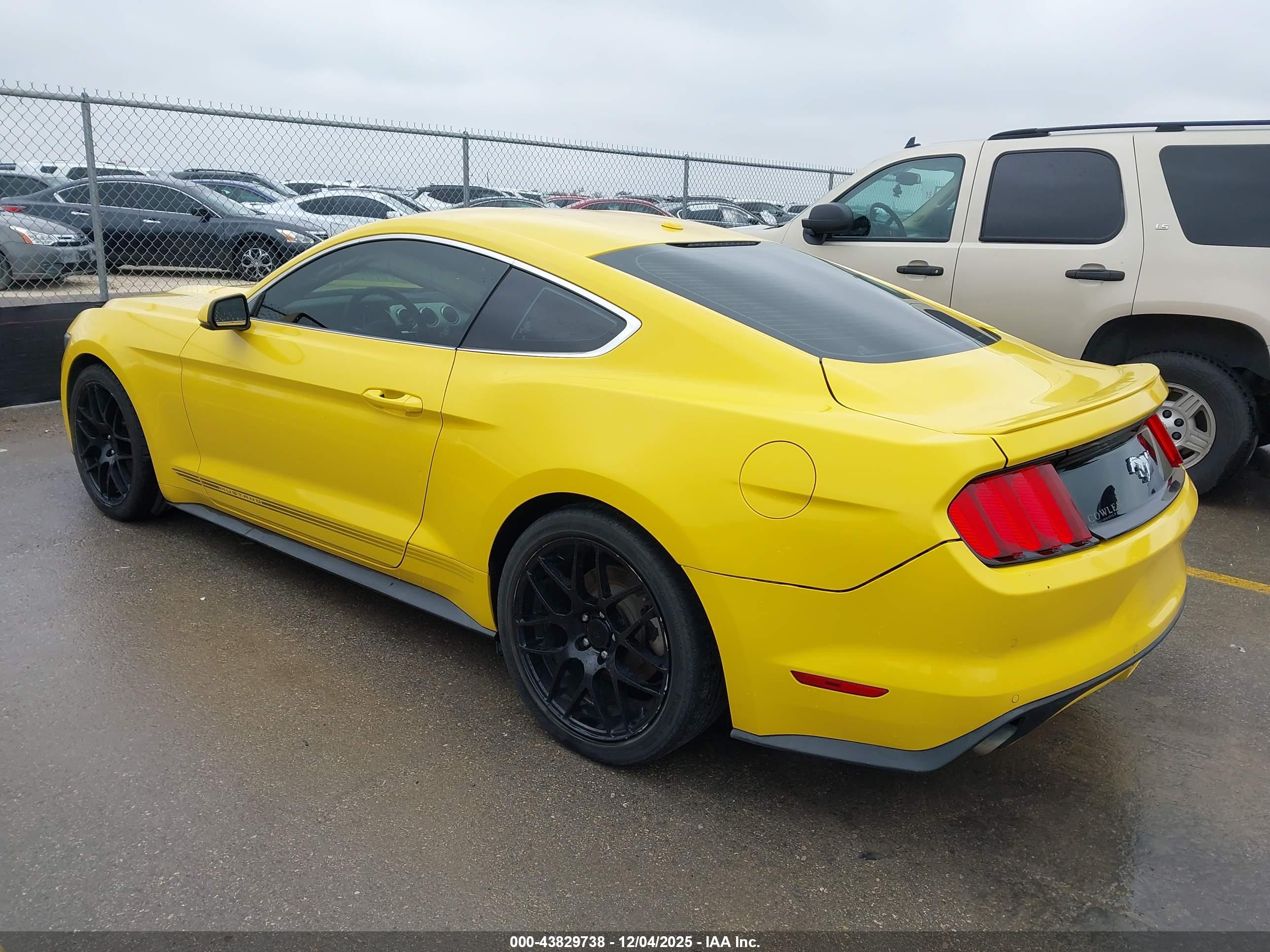 FORD MUSTANG image 3