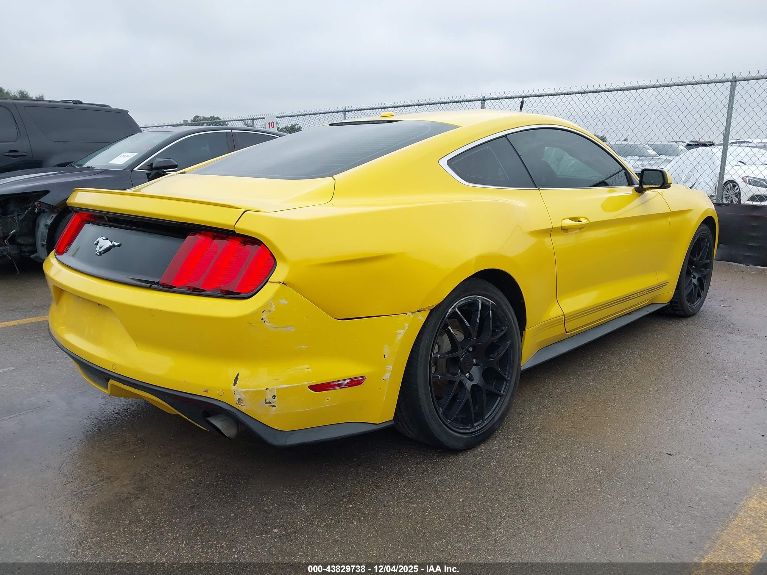 FORD MUSTANG image 6