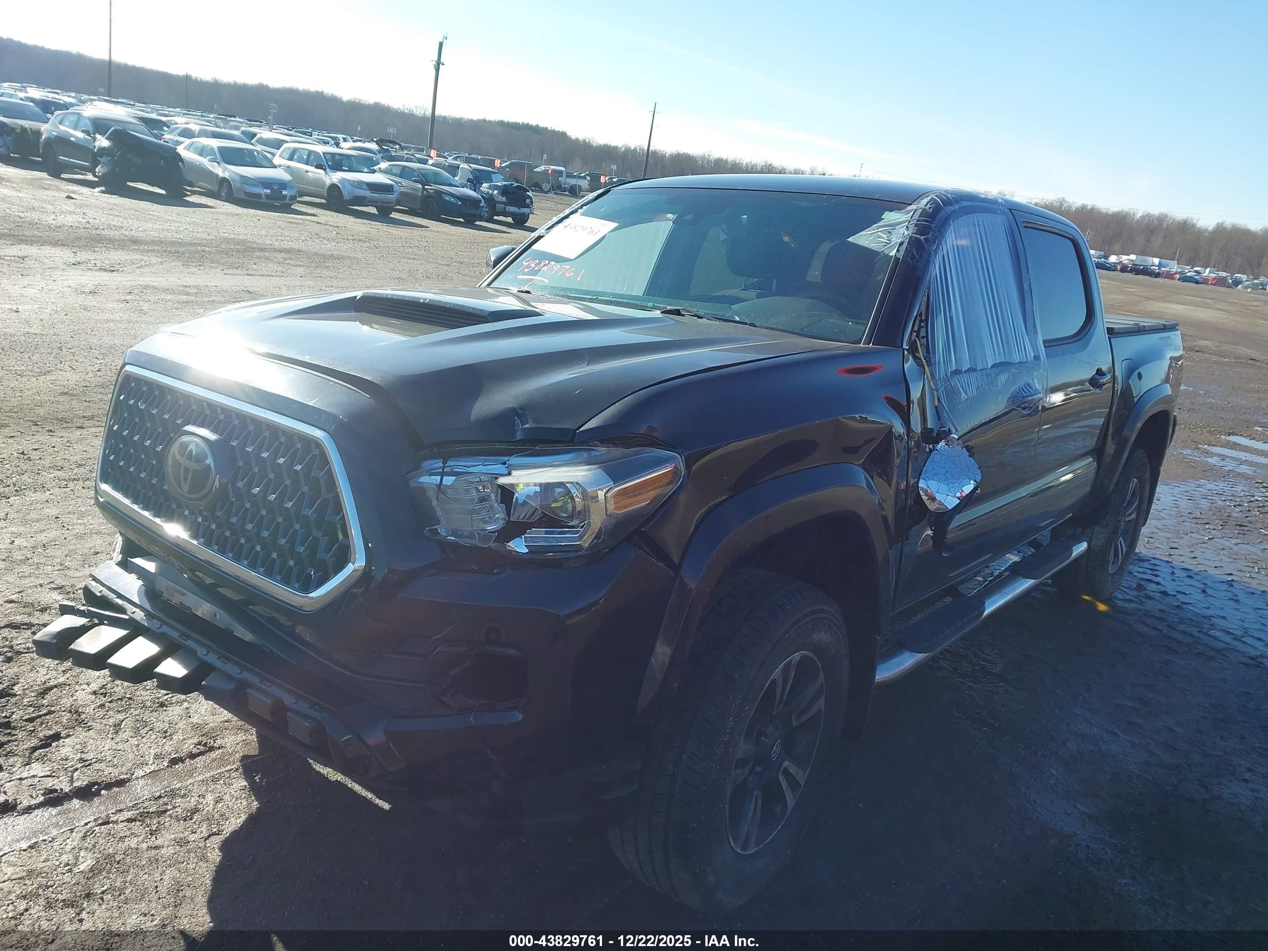 TOYOTA TACOMA image 2
