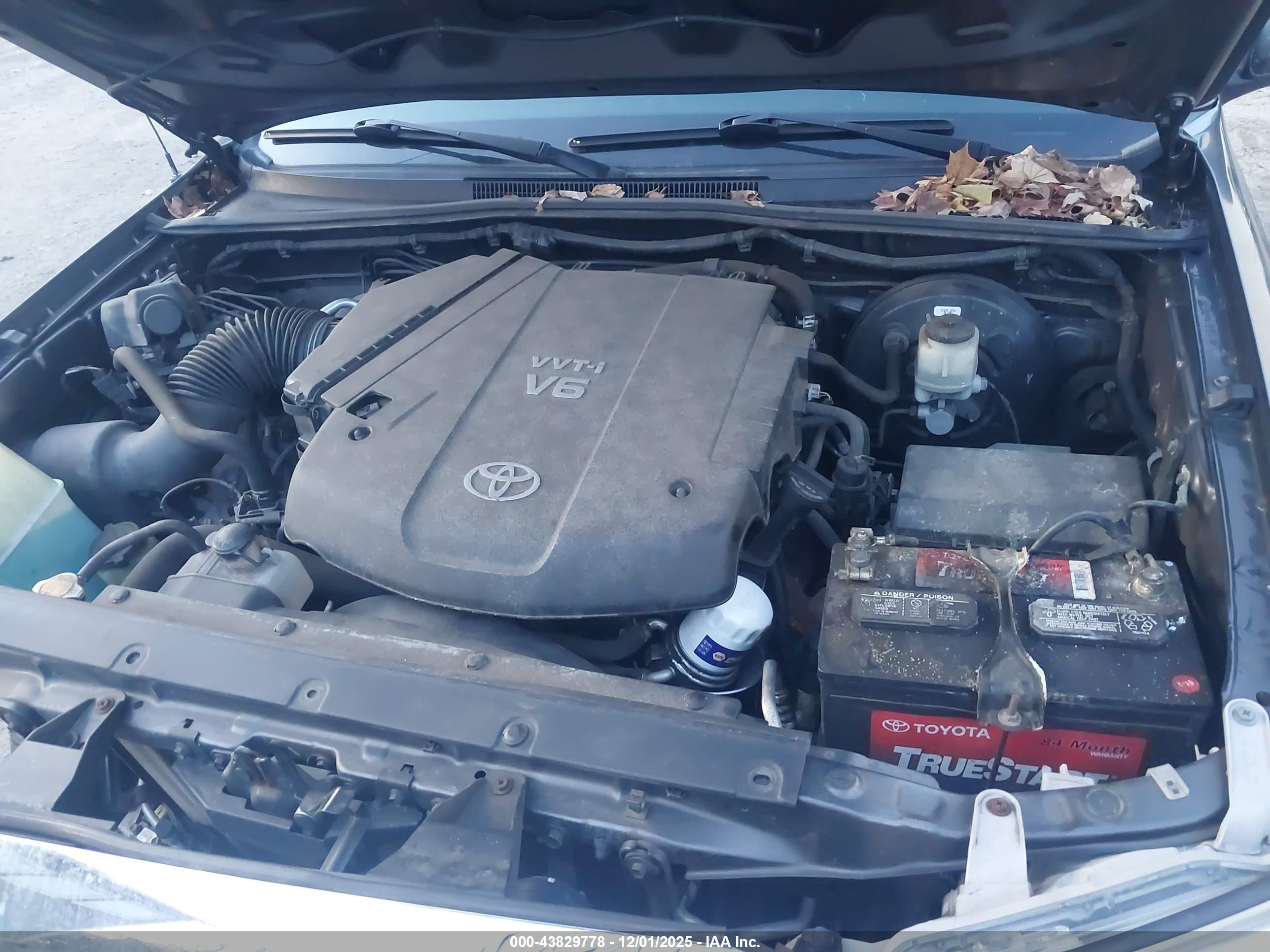 TOYOTA TACOMA image 10