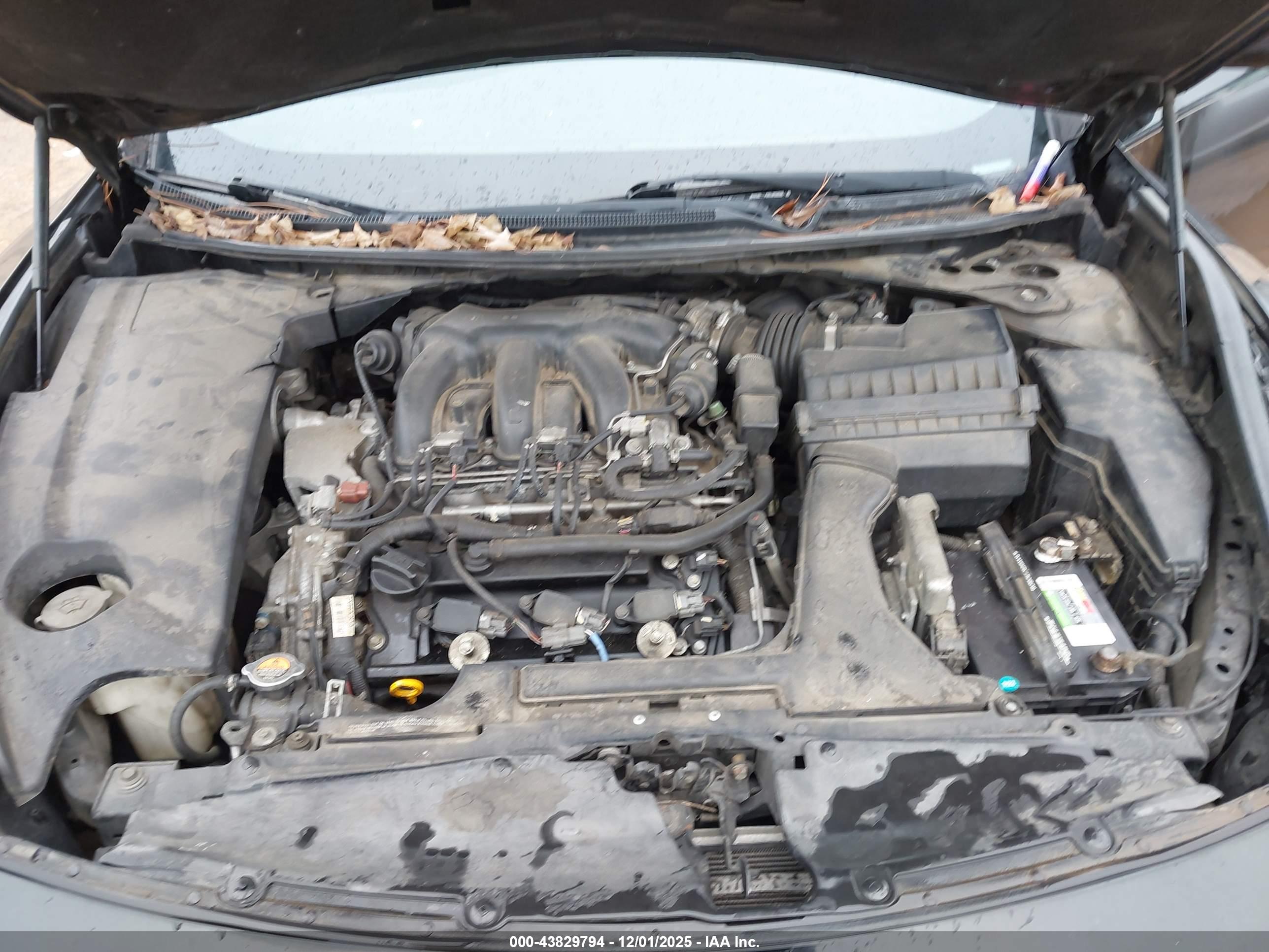 NISSAN MAXIMA image 10