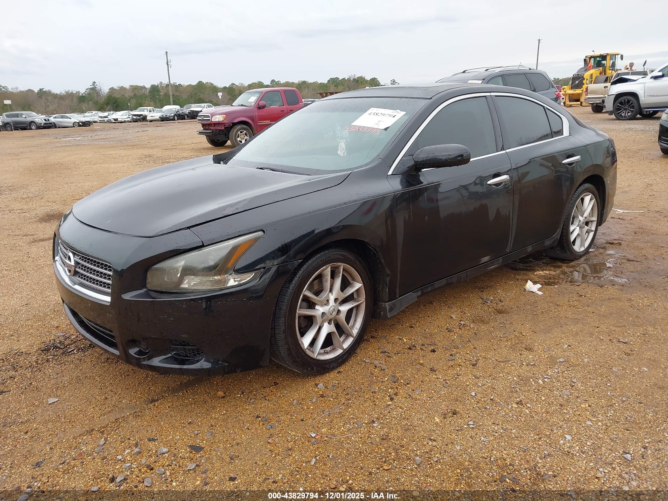 NISSAN MAXIMA image 2