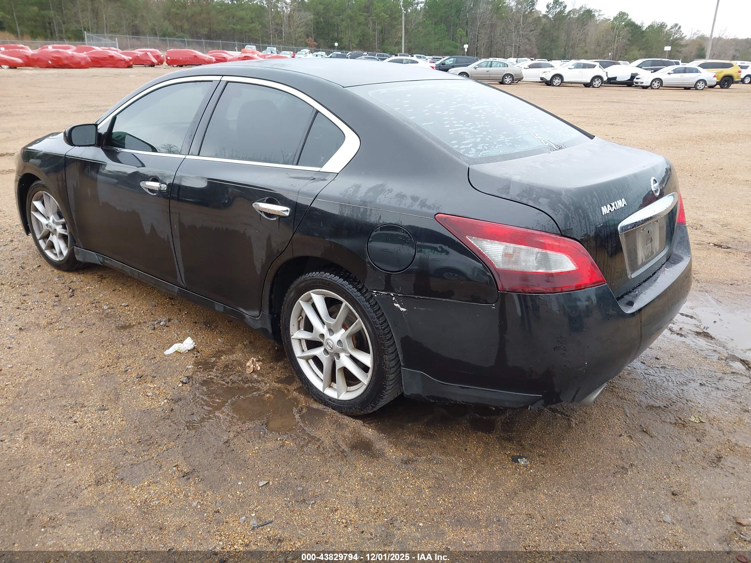 NISSAN MAXIMA image 3