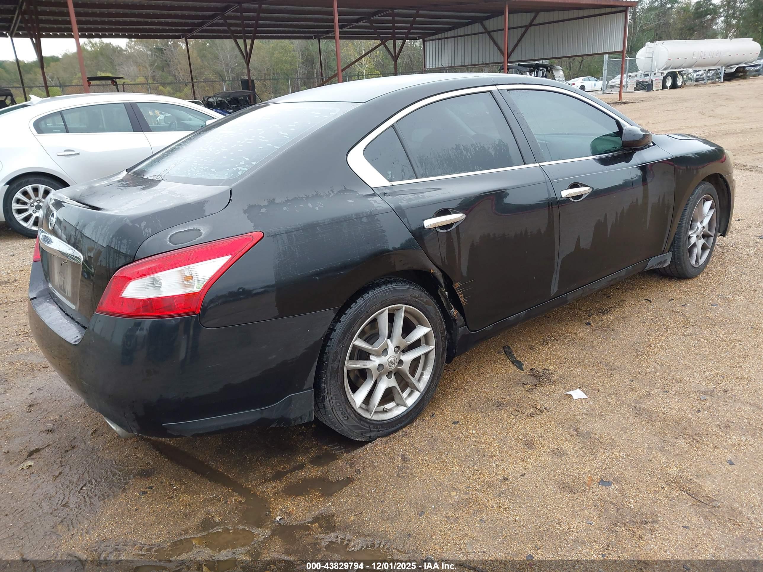 NISSAN MAXIMA image 4