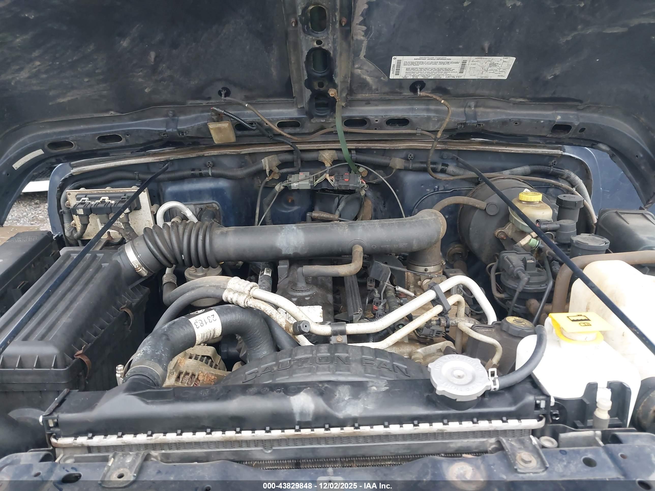 JEEP WRANGLER image 10