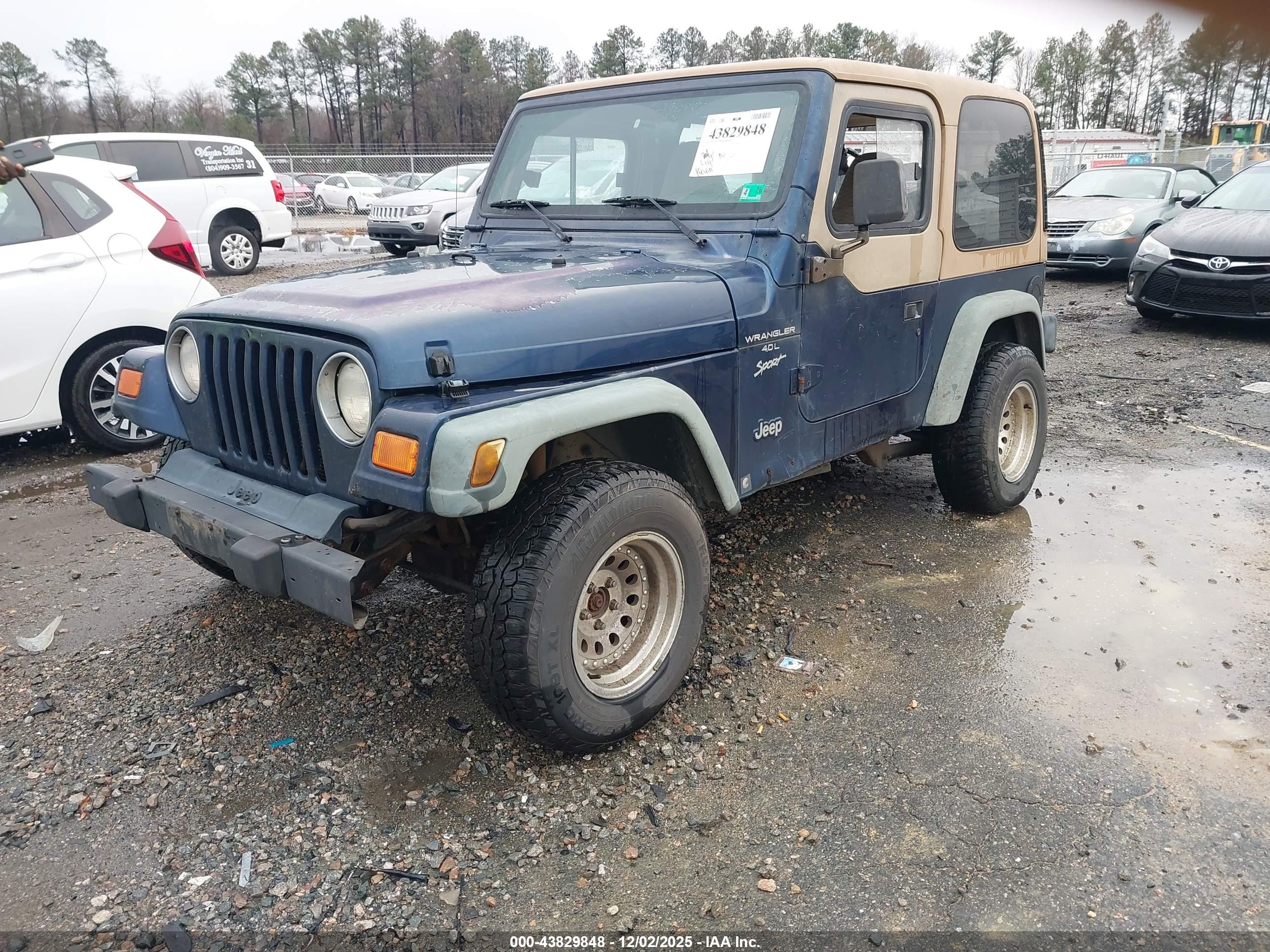 JEEP WRANGLER image 2