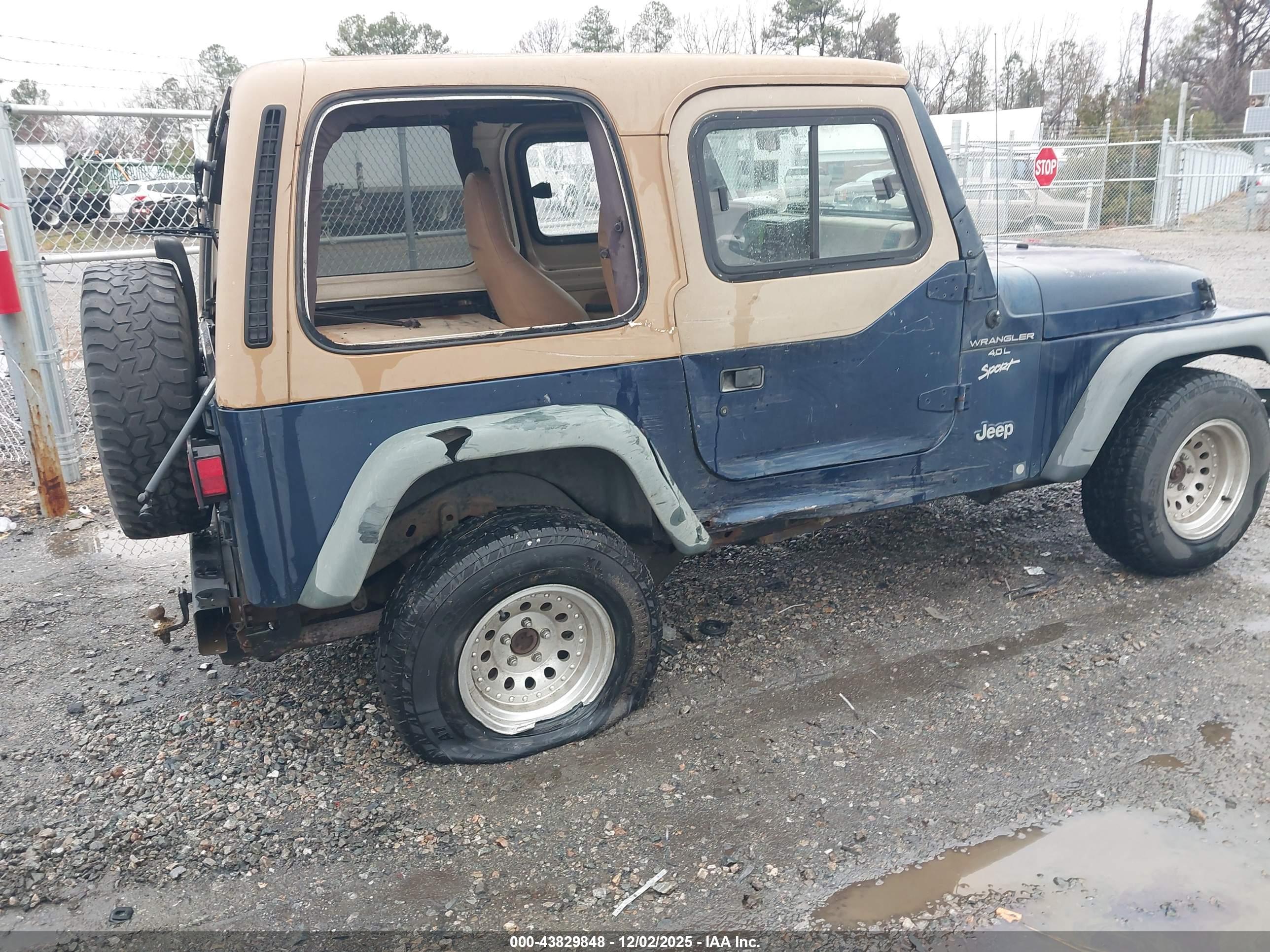 JEEP WRANGLER image 6
