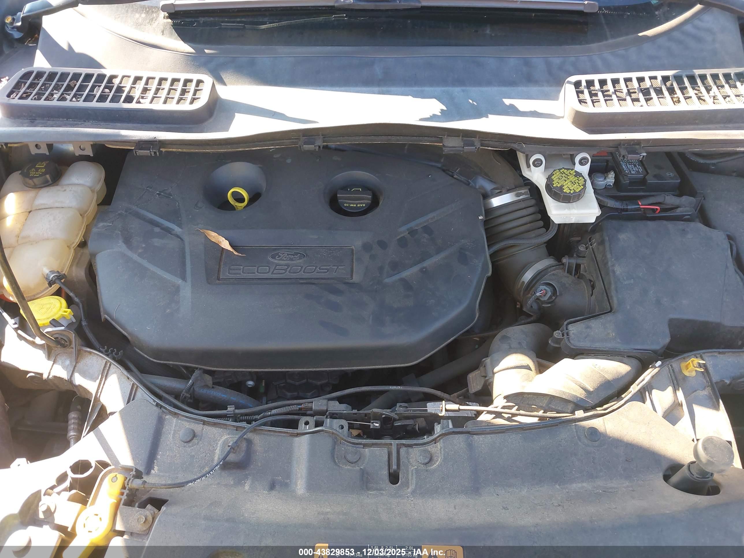 FORD ESCAPE image 10