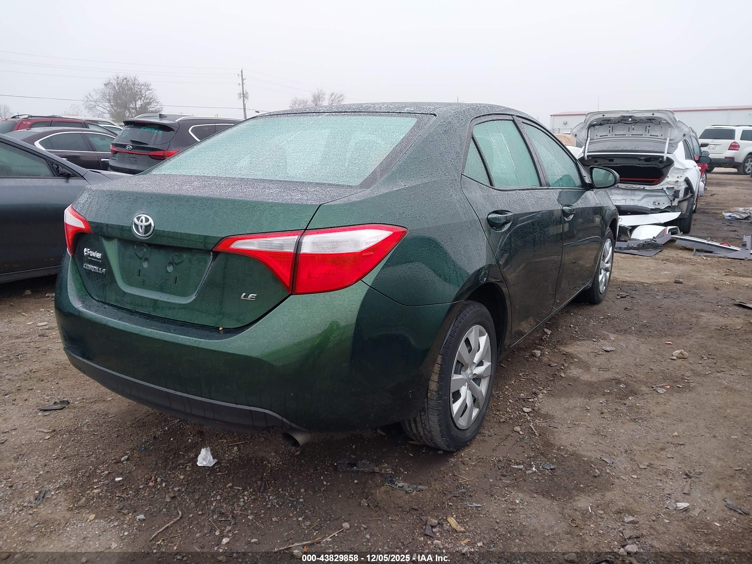 TOYOTA COROLLA image 4
