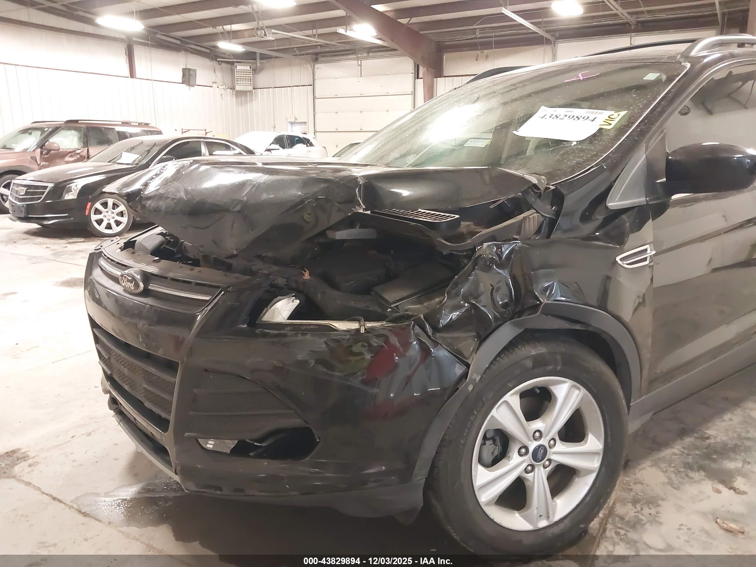 FORD ESCAPE image 6