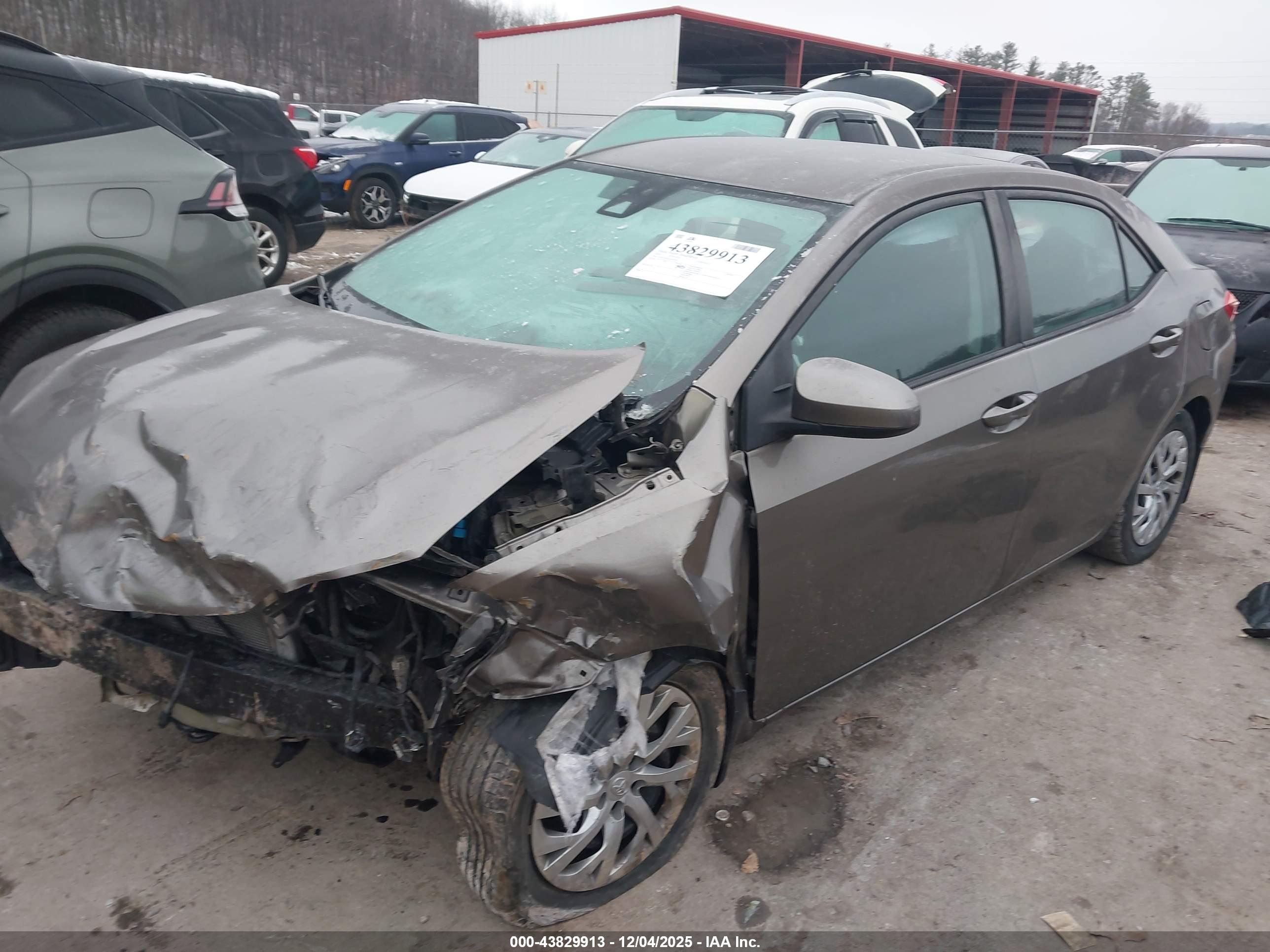 TOYOTA COROLLA image 2