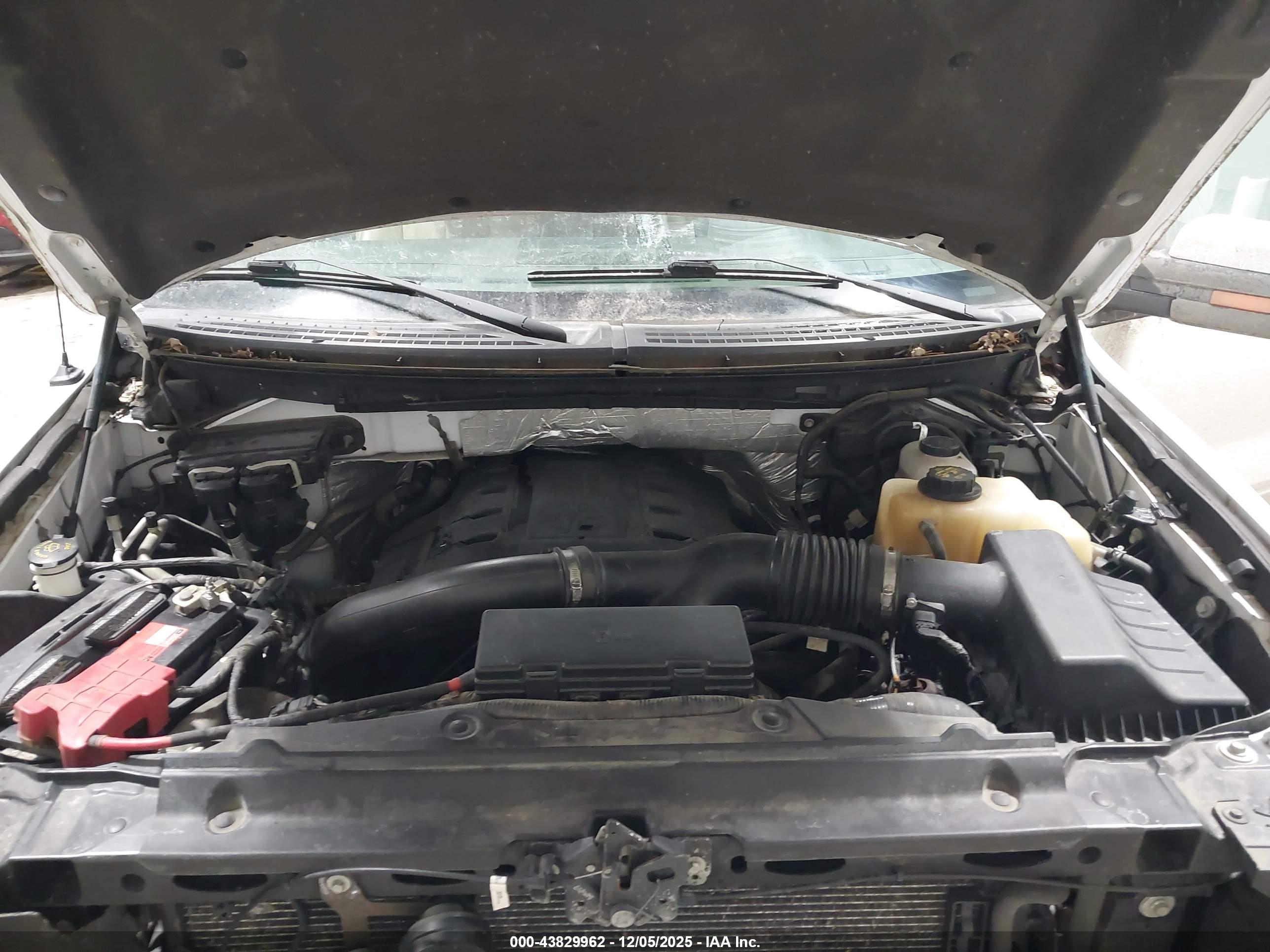 FORD F-150 image 10