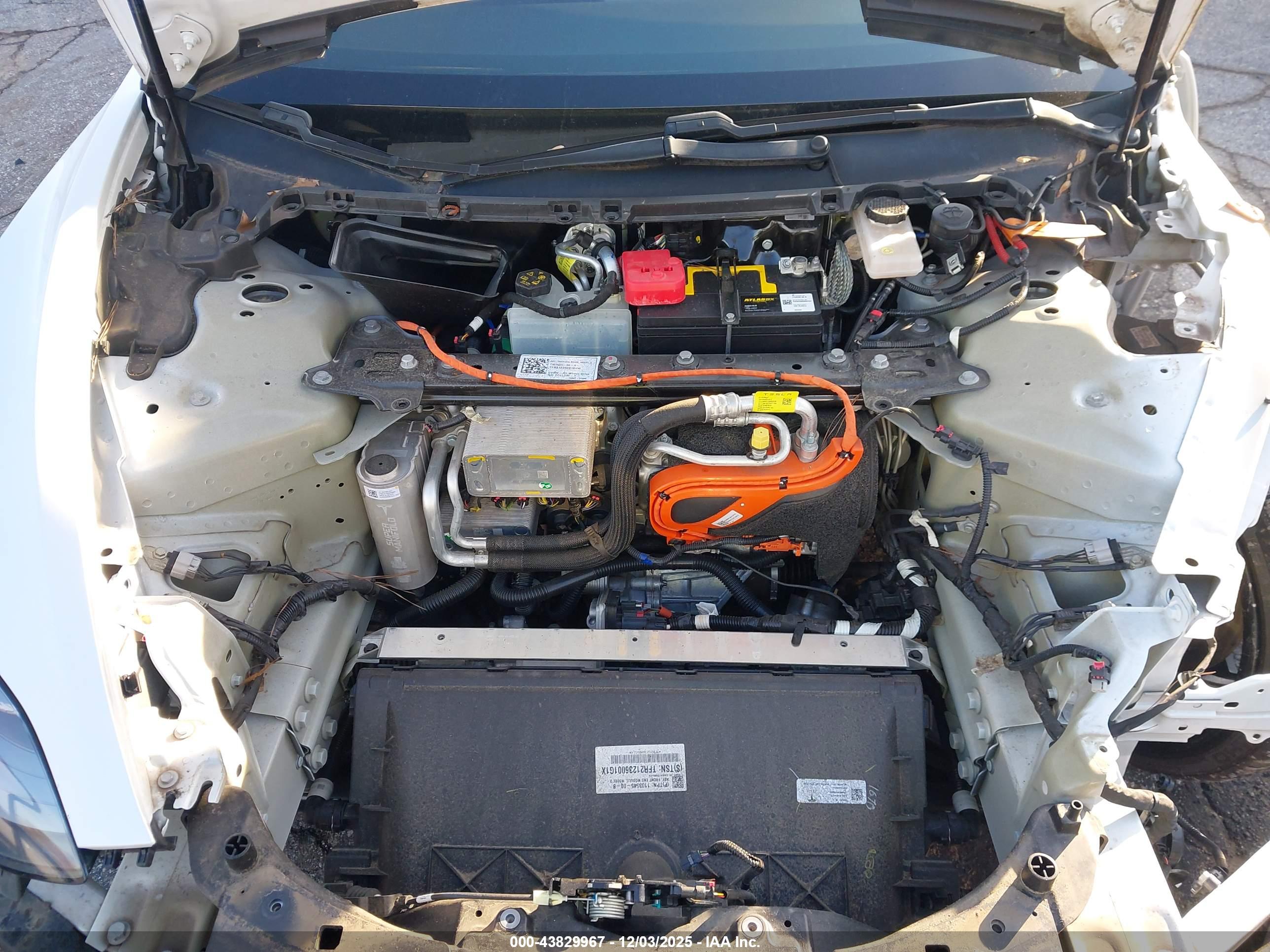 TESLA MODEL image 10