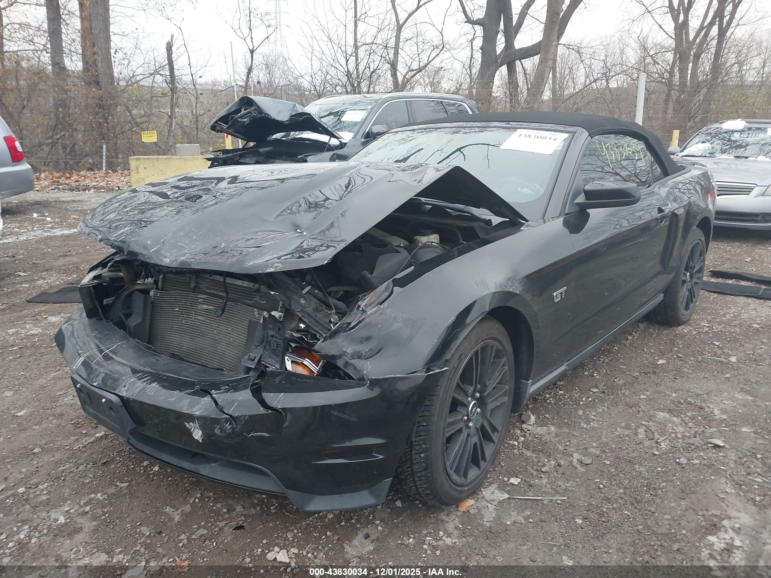 FORD MUSTANG image 2