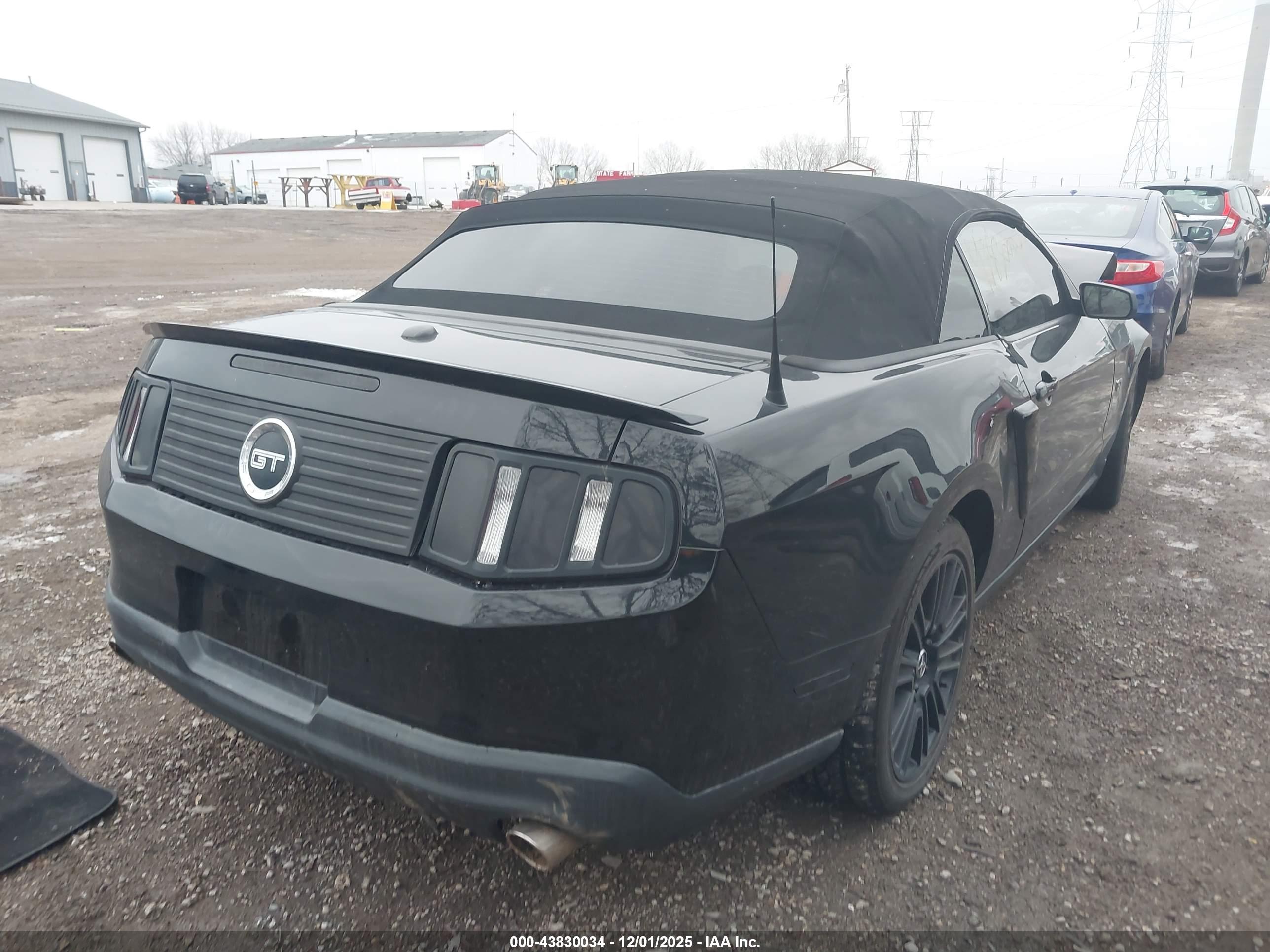 FORD MUSTANG image 4