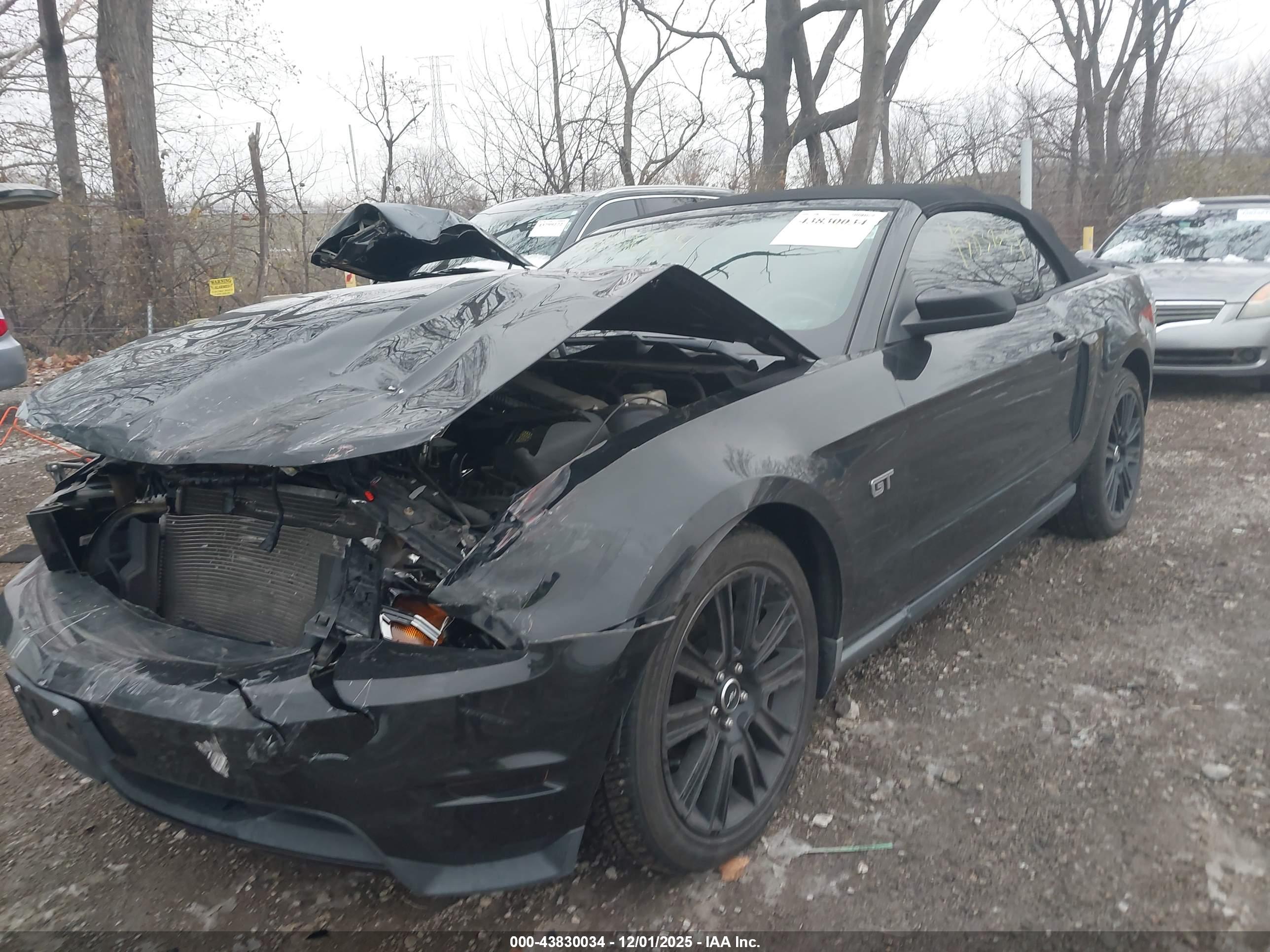 FORD MUSTANG image 6