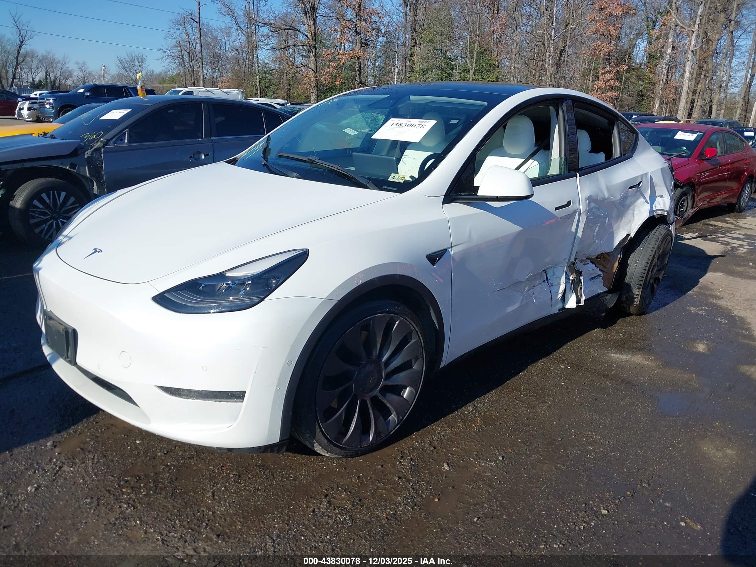 TESLA MODEL image 2