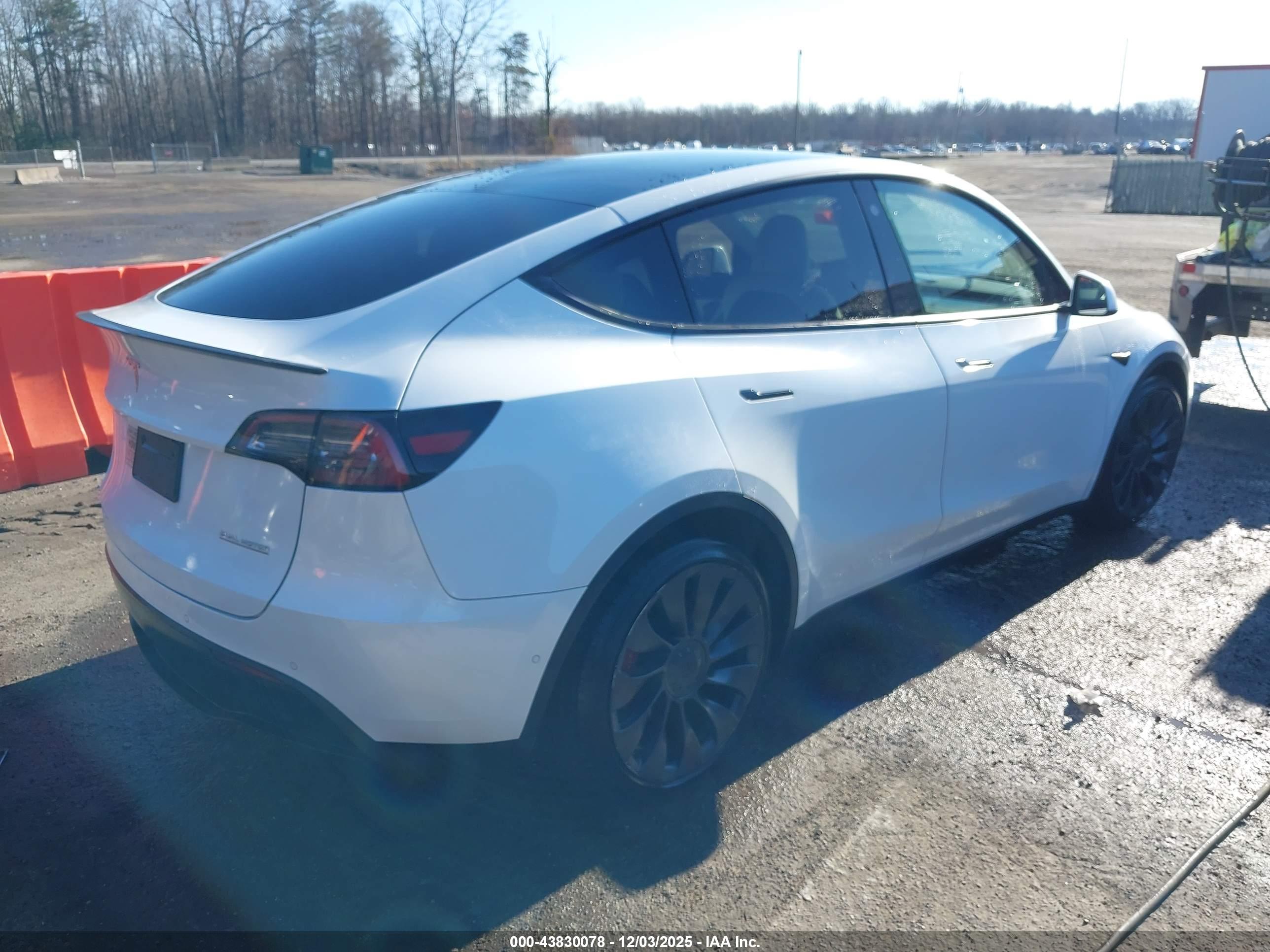 TESLA MODEL image 4