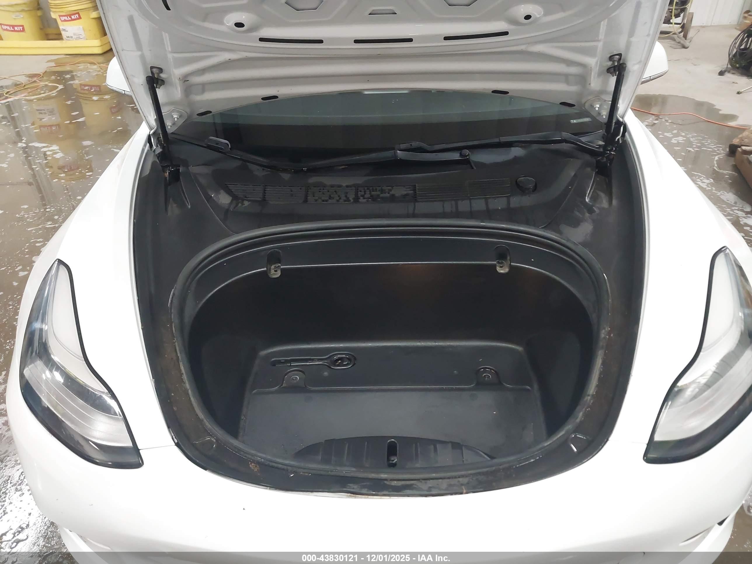 TESLA MODEL image 10