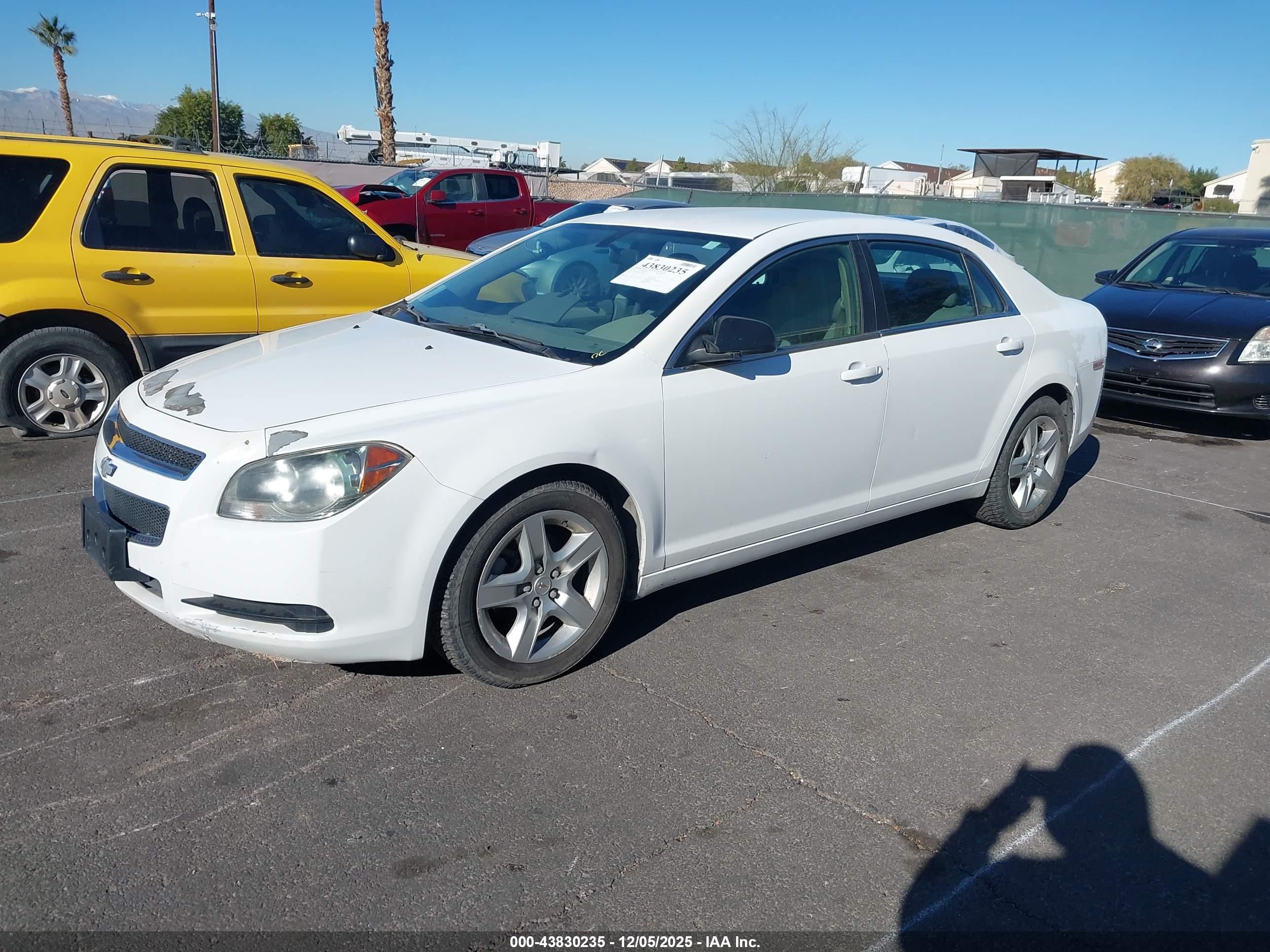 CHEVROLET MALIBU image 2