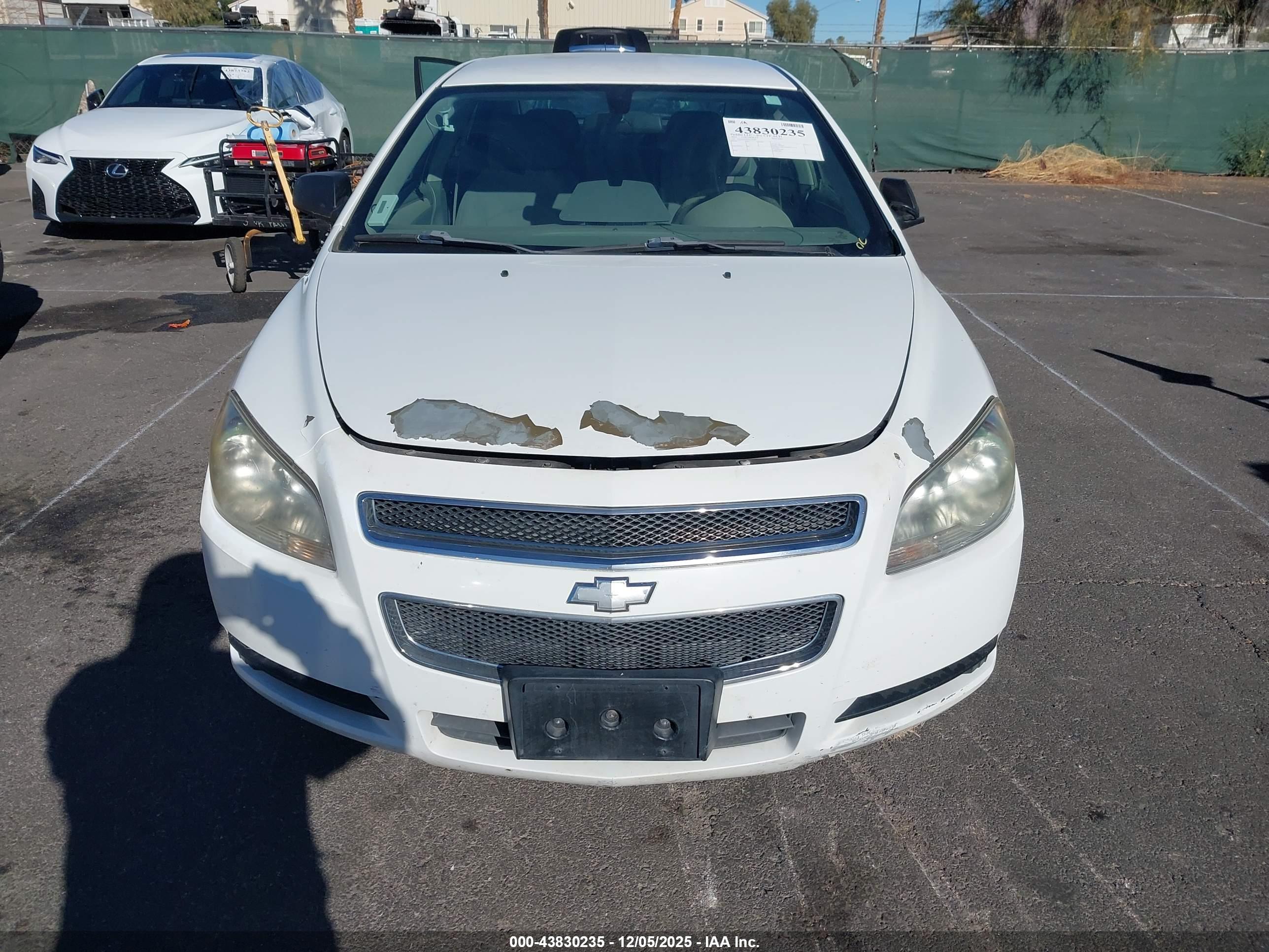 CHEVROLET MALIBU image 6