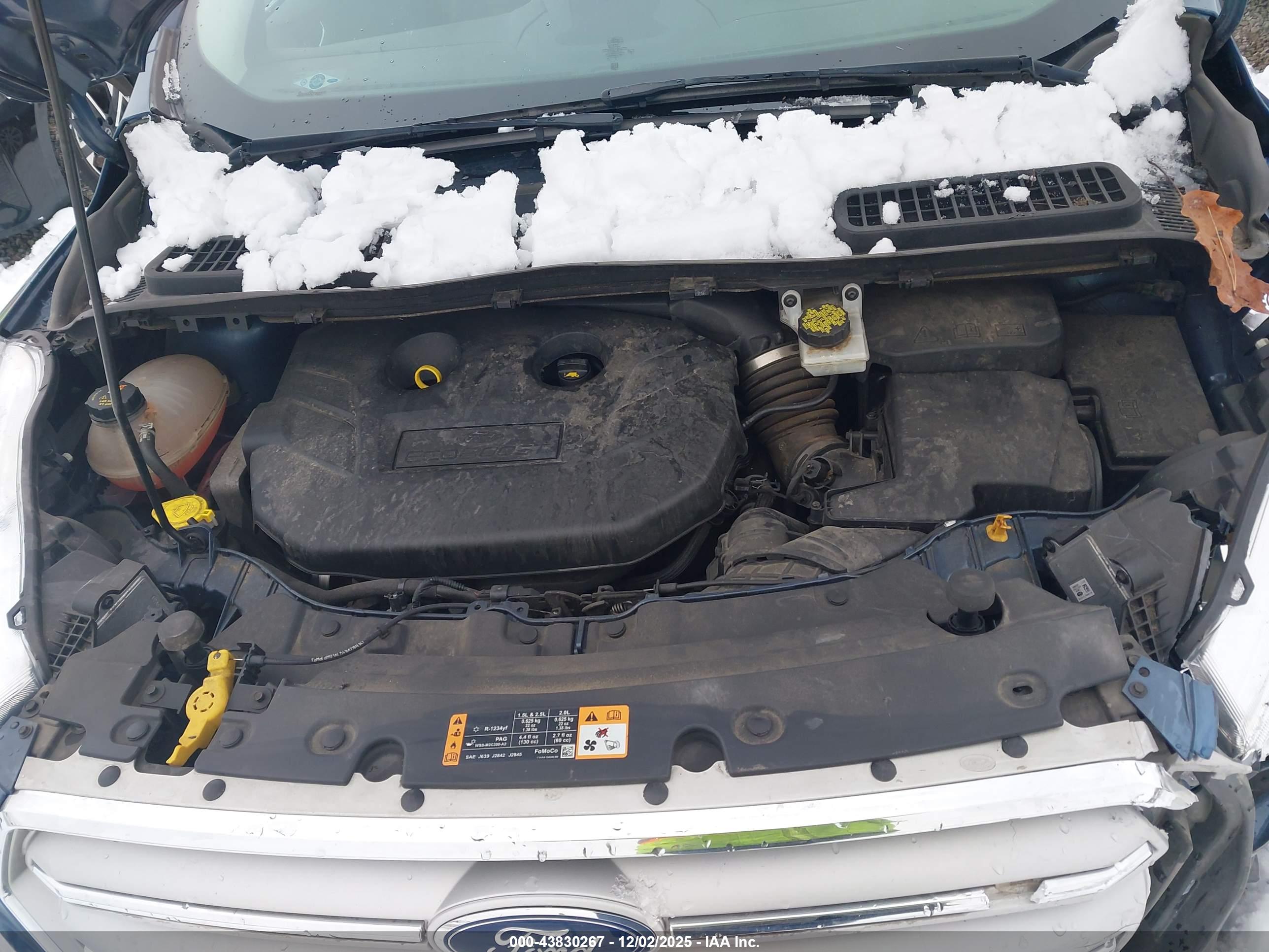 FORD ESCAPE image 10
