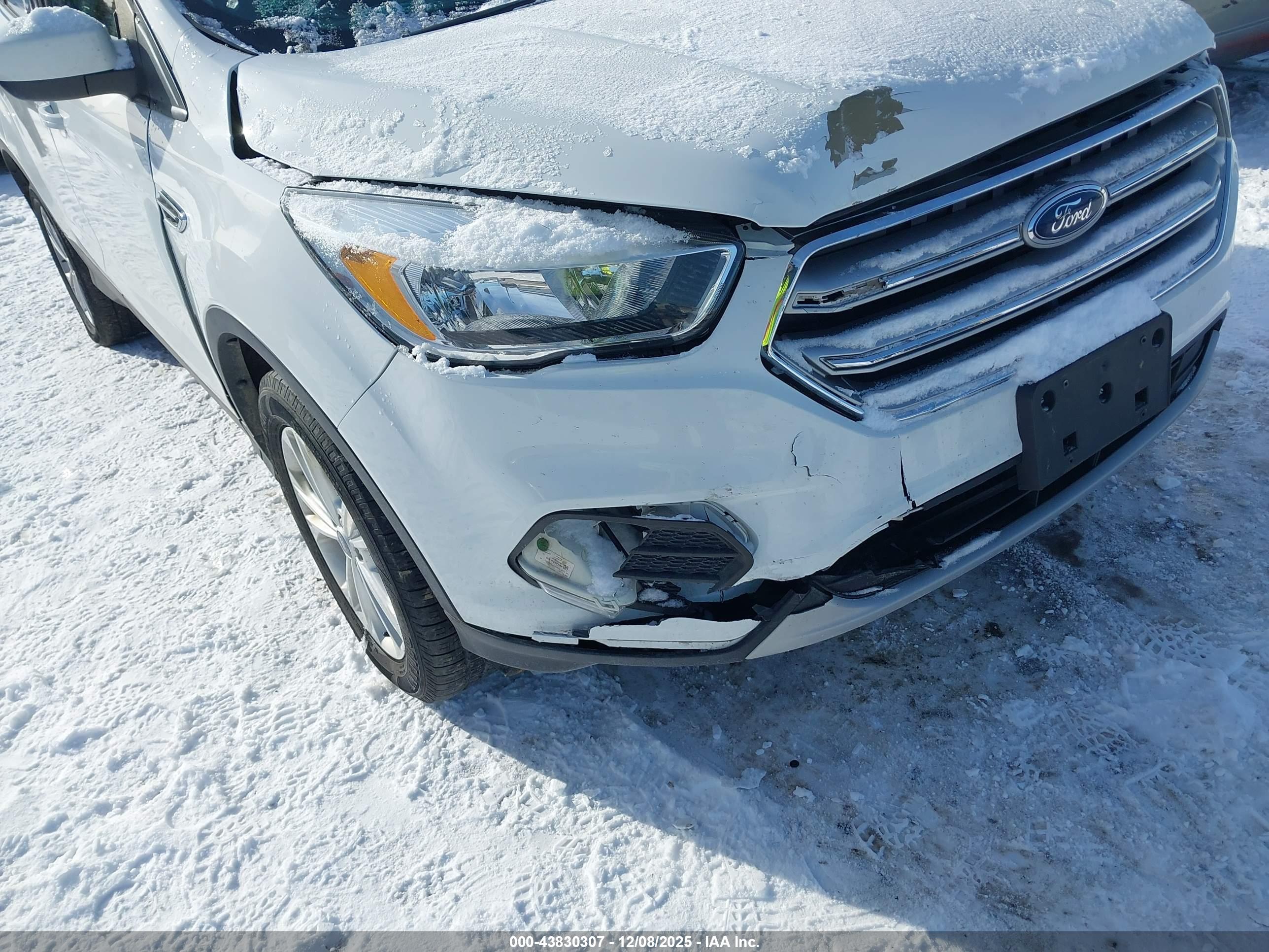 FORD ESCAPE image 6