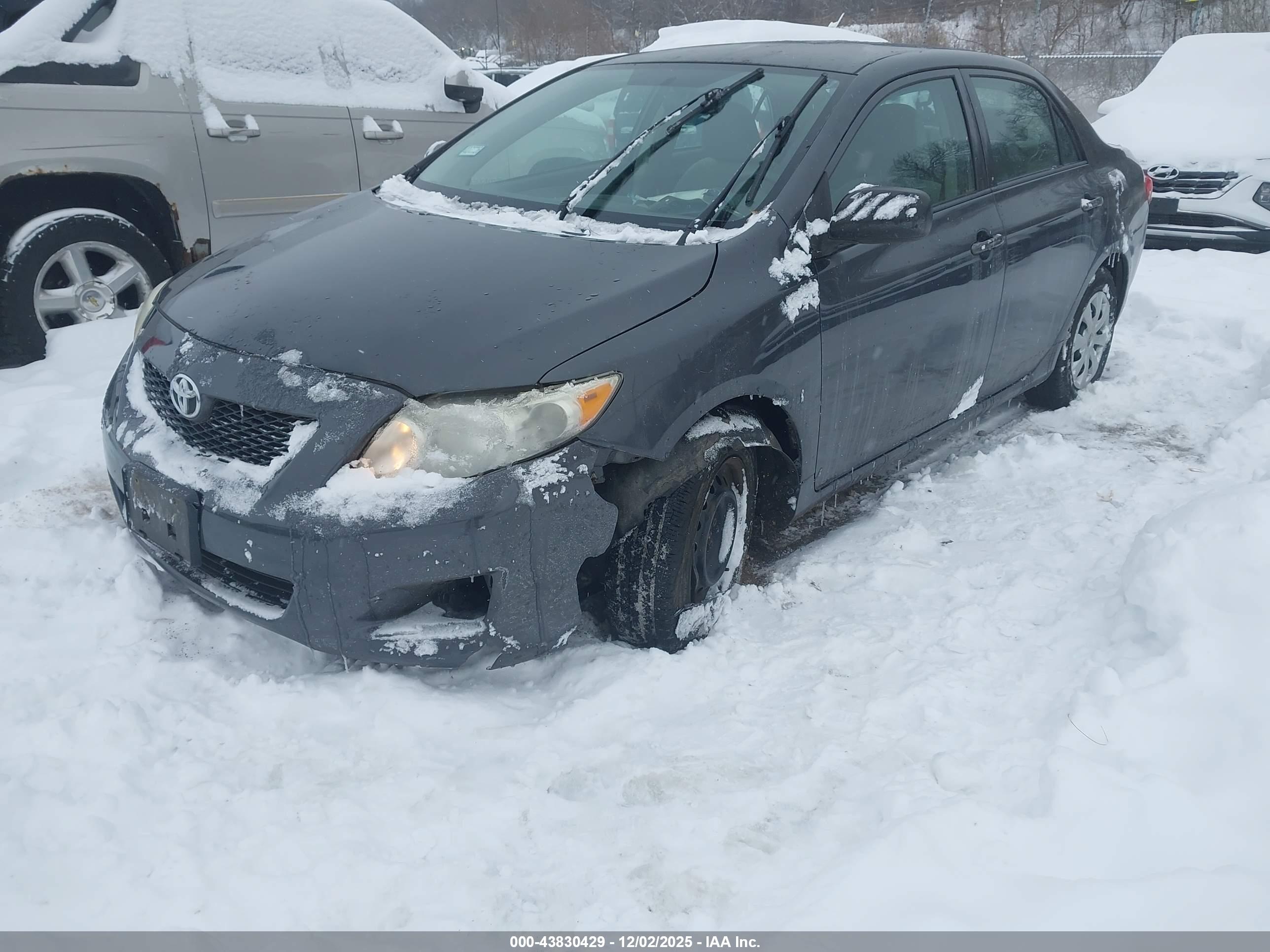 TOYOTA COROLLA image 2