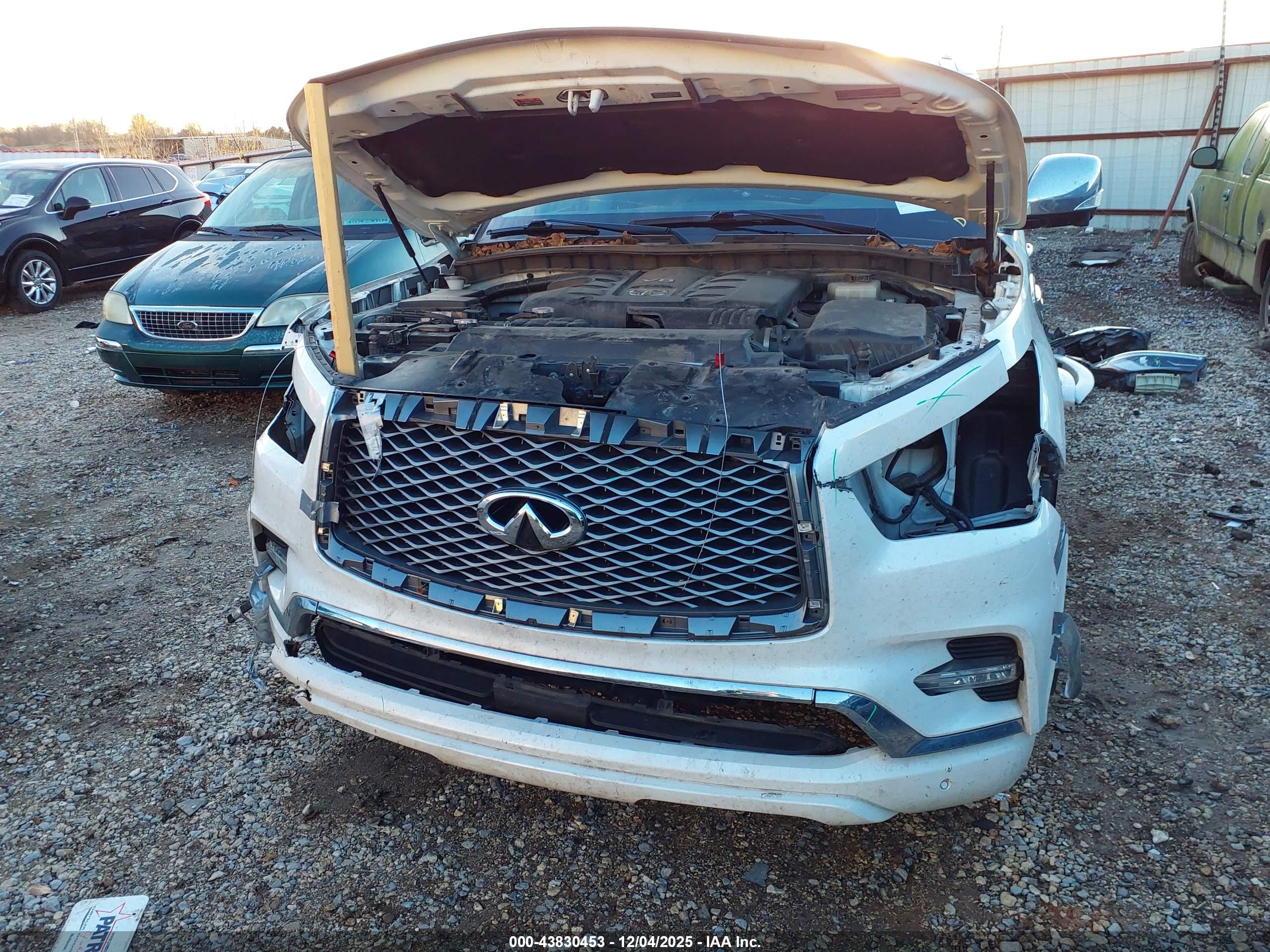 INFINITI QX80 image 6