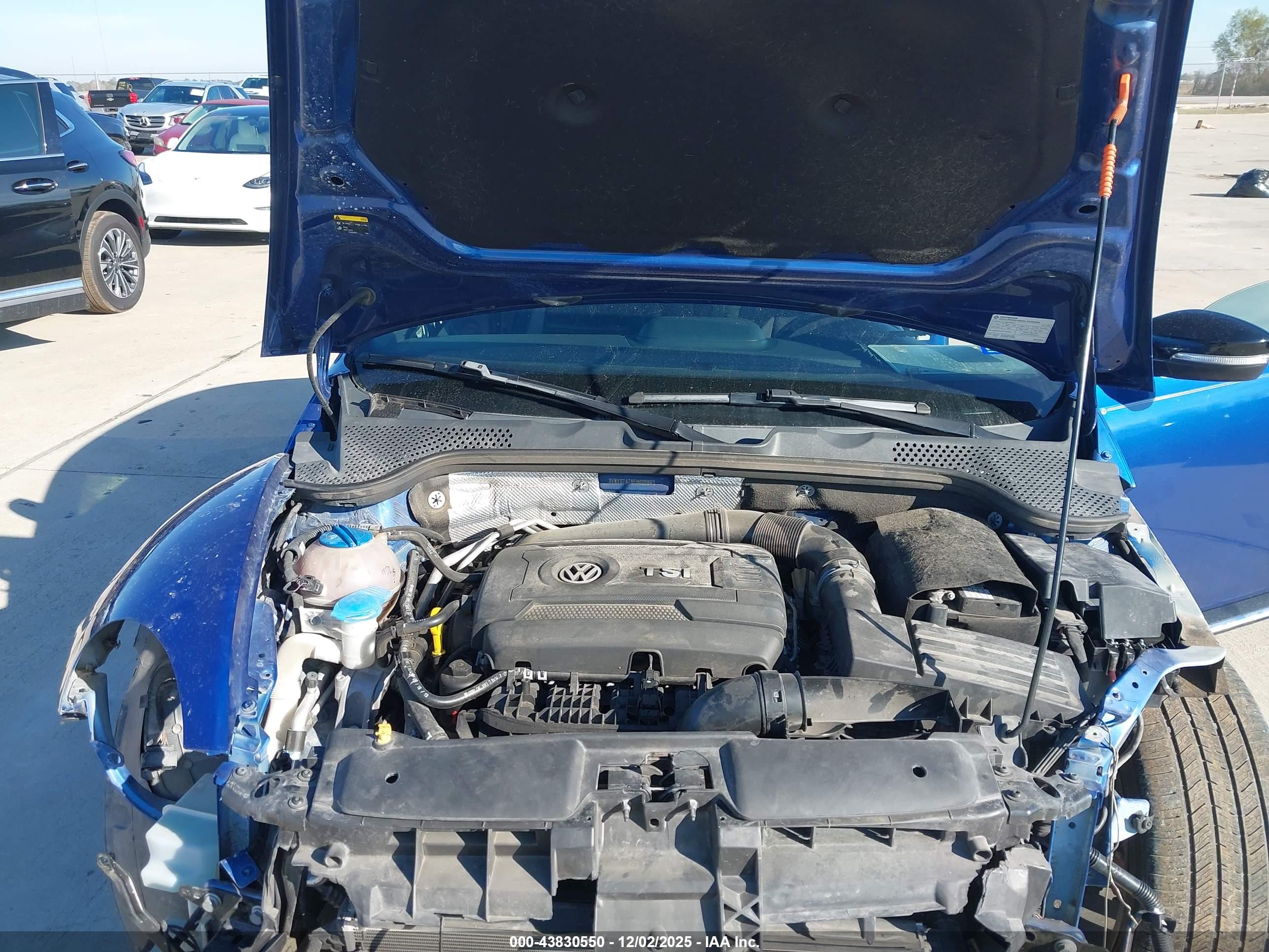 VOLKSWAGEN BEETLE image 10