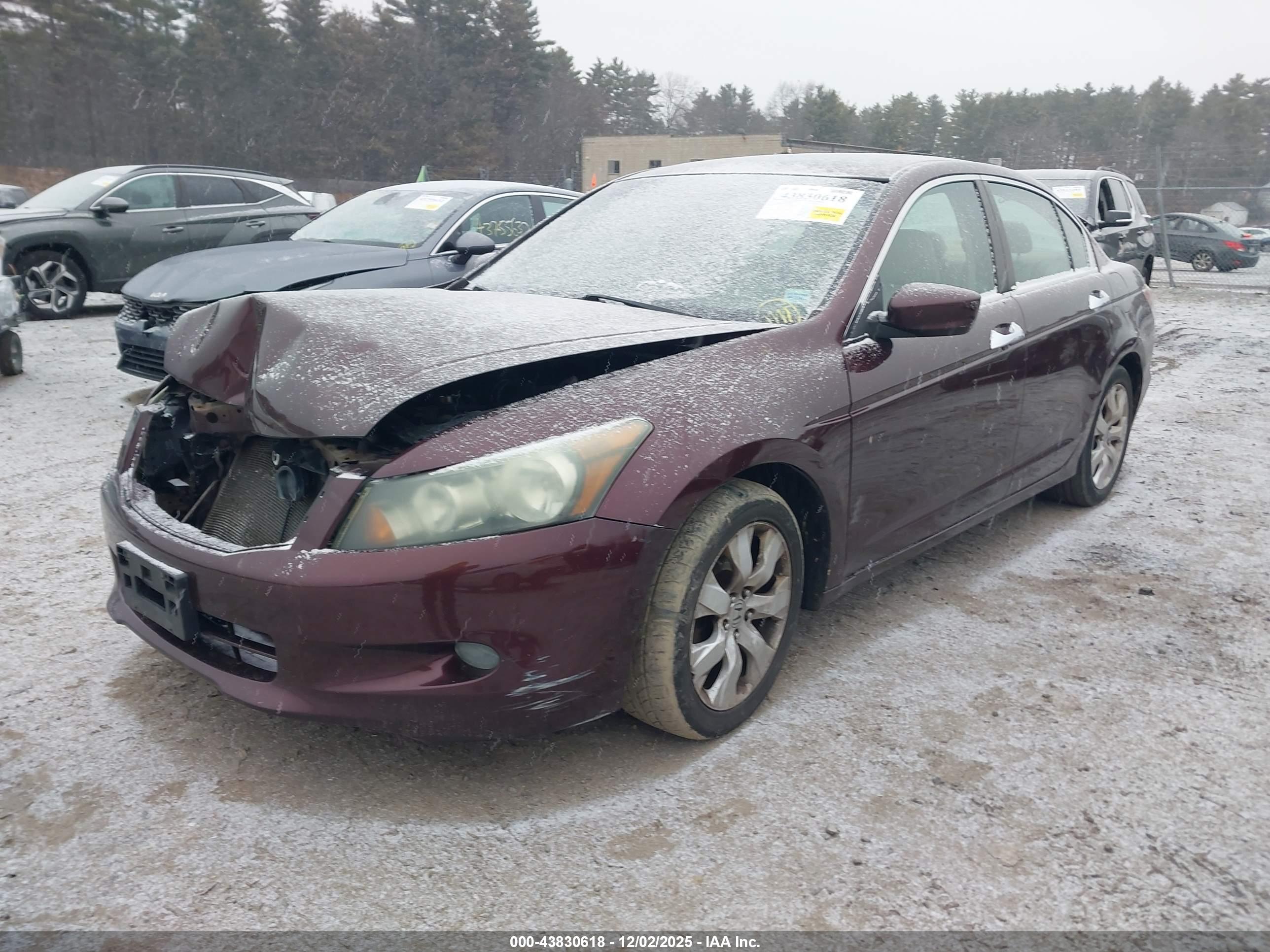 HONDA ACCORD image 2