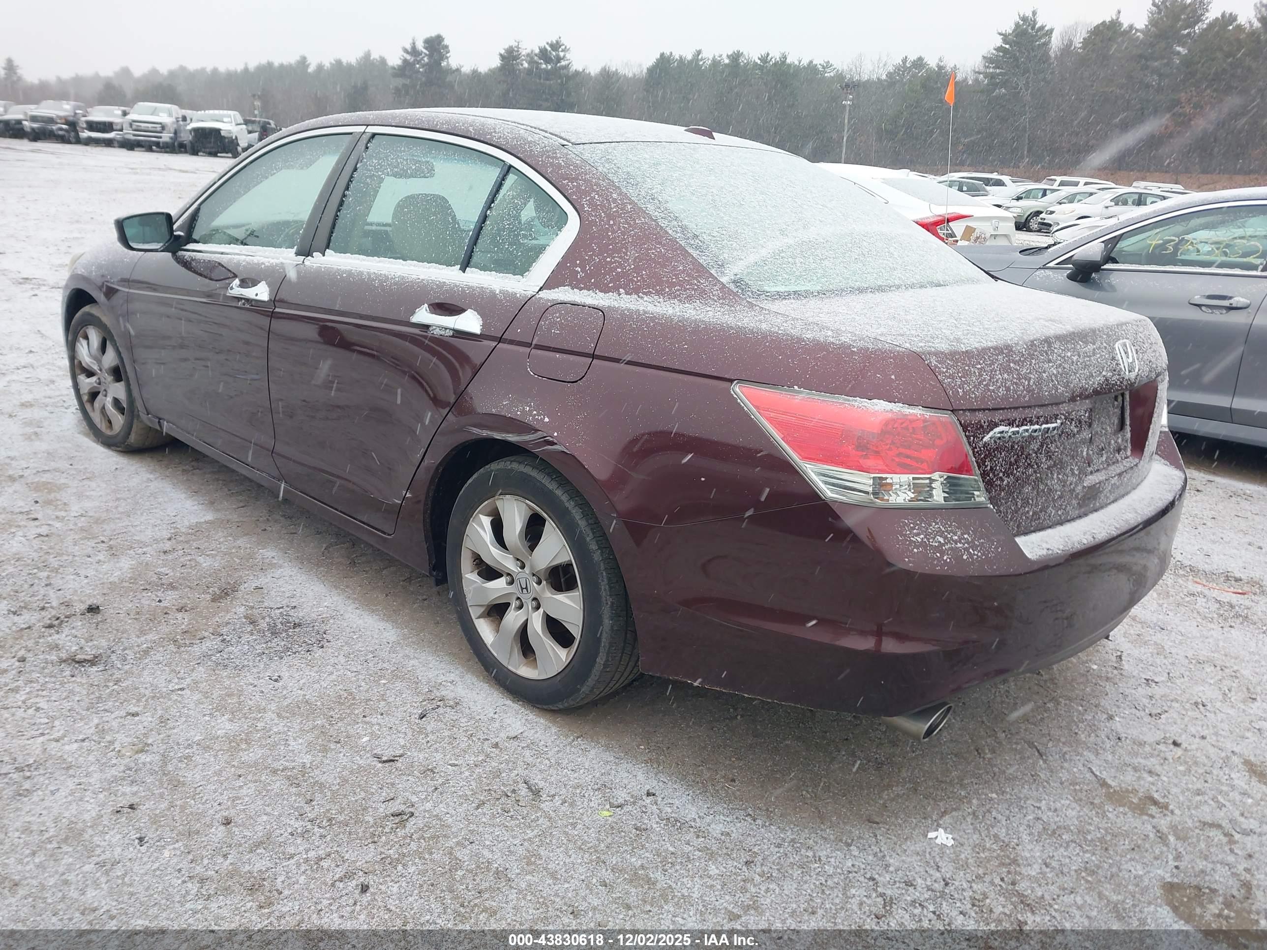 HONDA ACCORD image 3