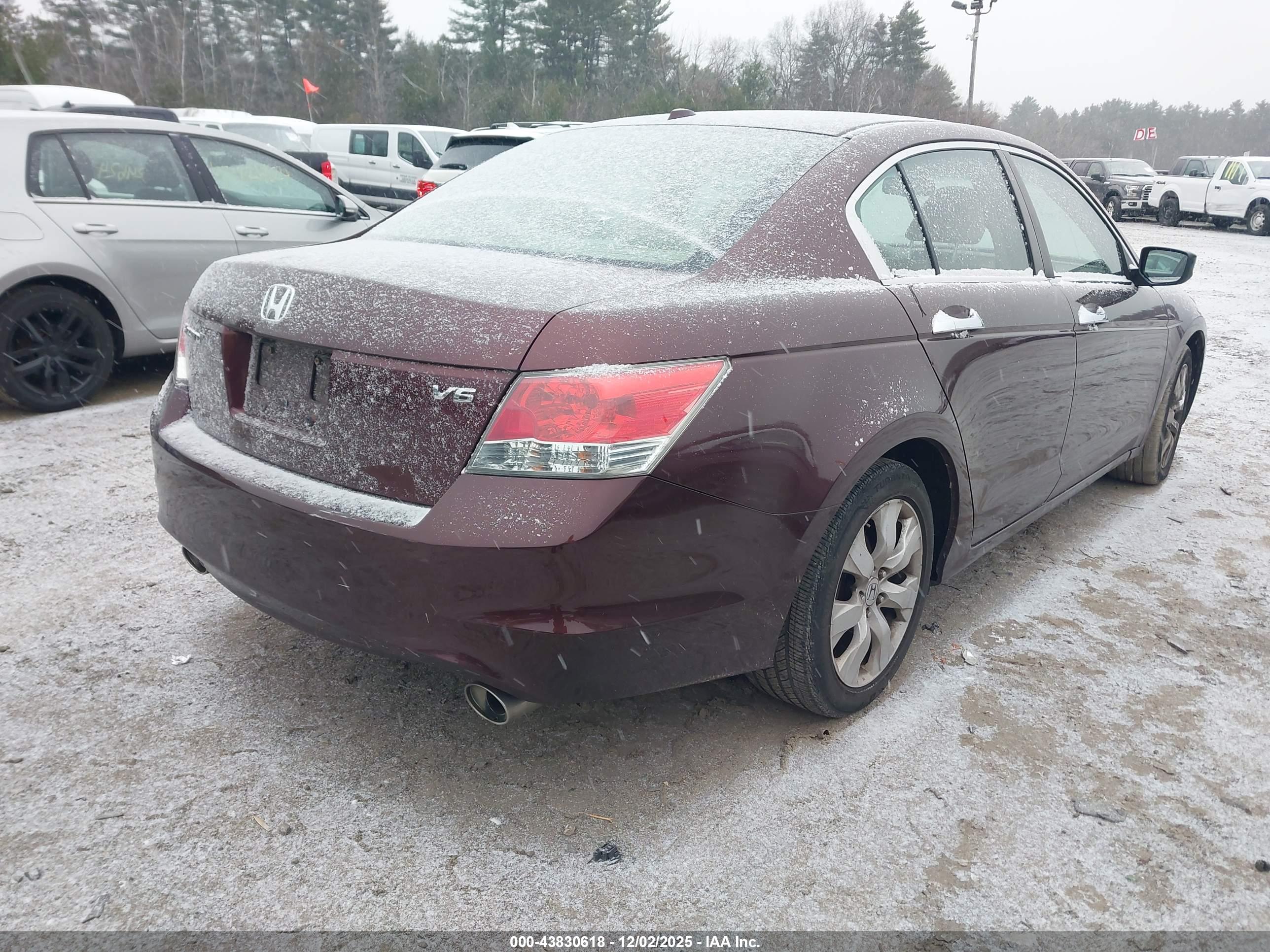 HONDA ACCORD image 4
