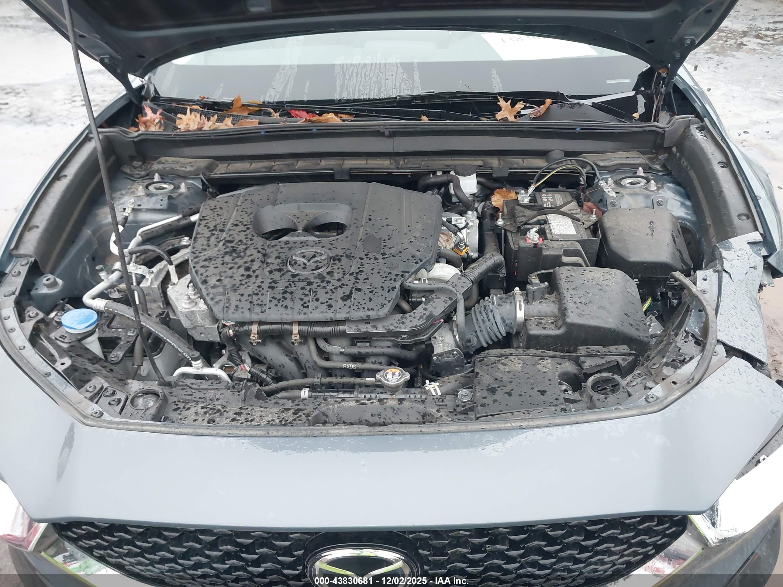 MAZDA CX-30 image 10