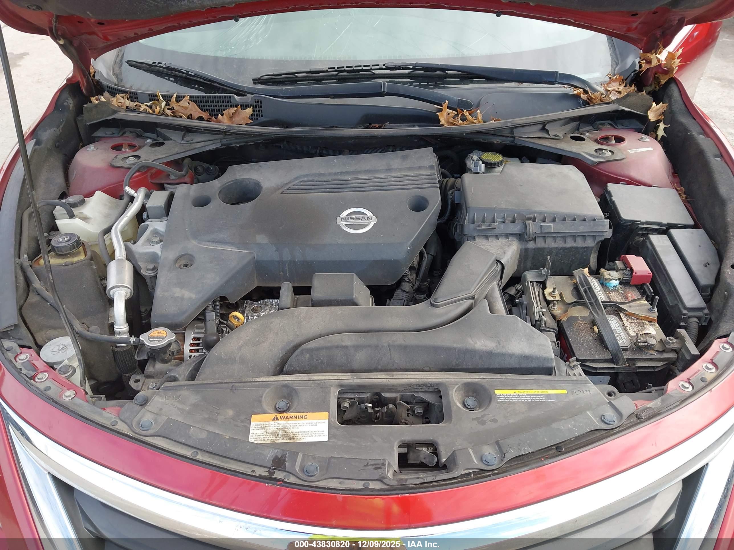 NISSAN ALTIMA image 10