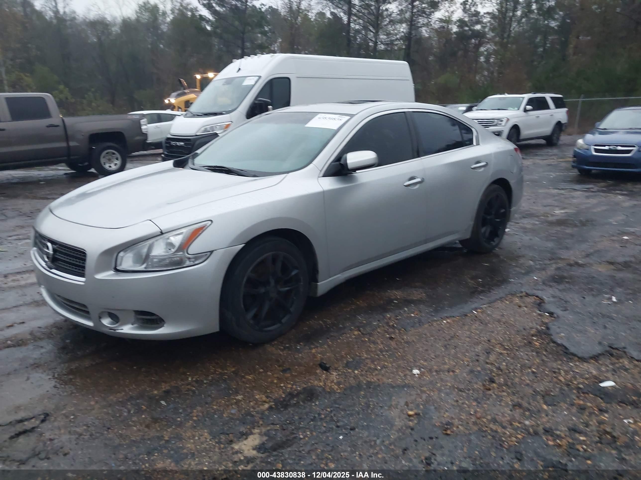 NISSAN MAXIMA image 2
