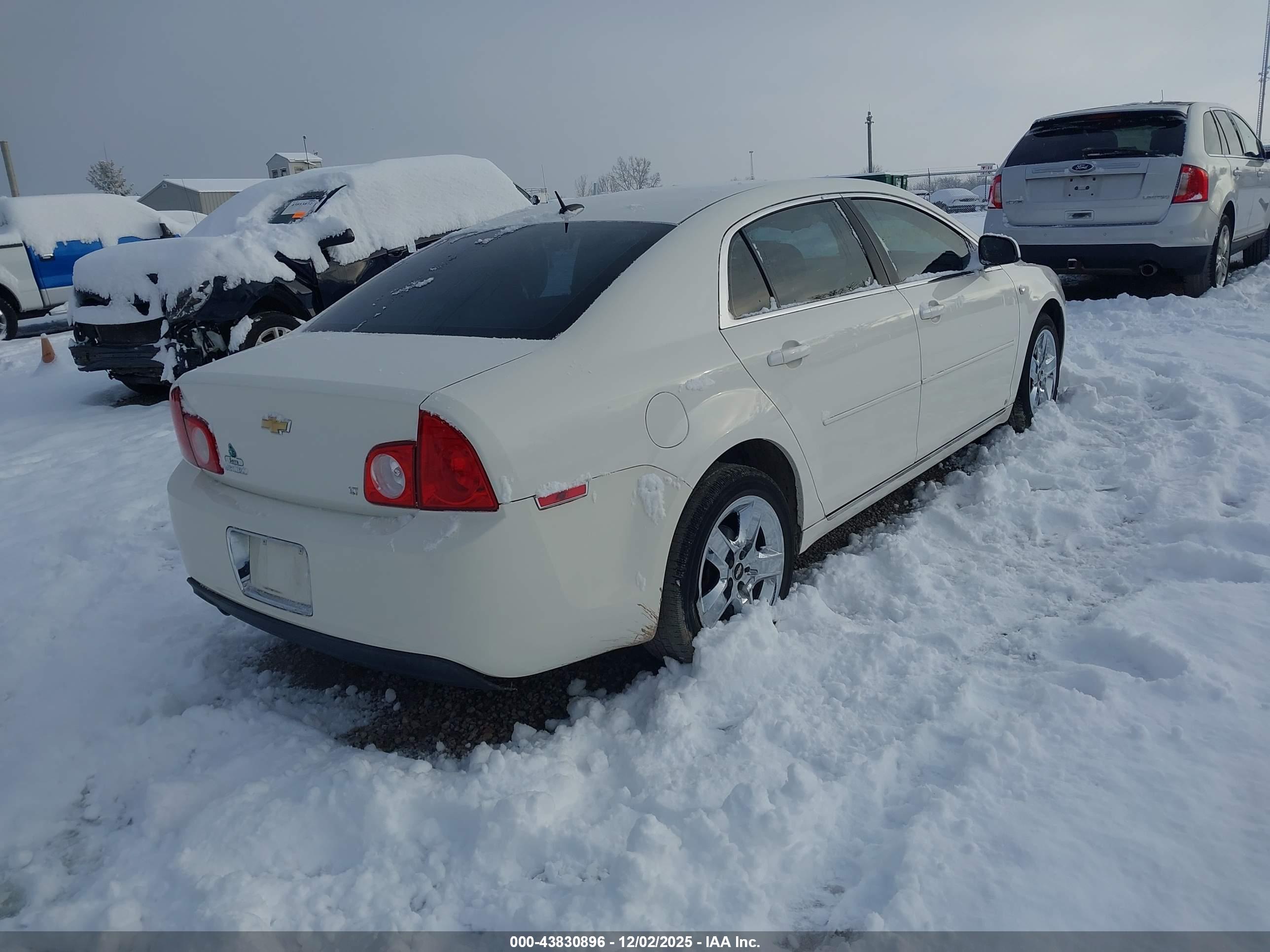 CHEVROLET MALIBU image 4