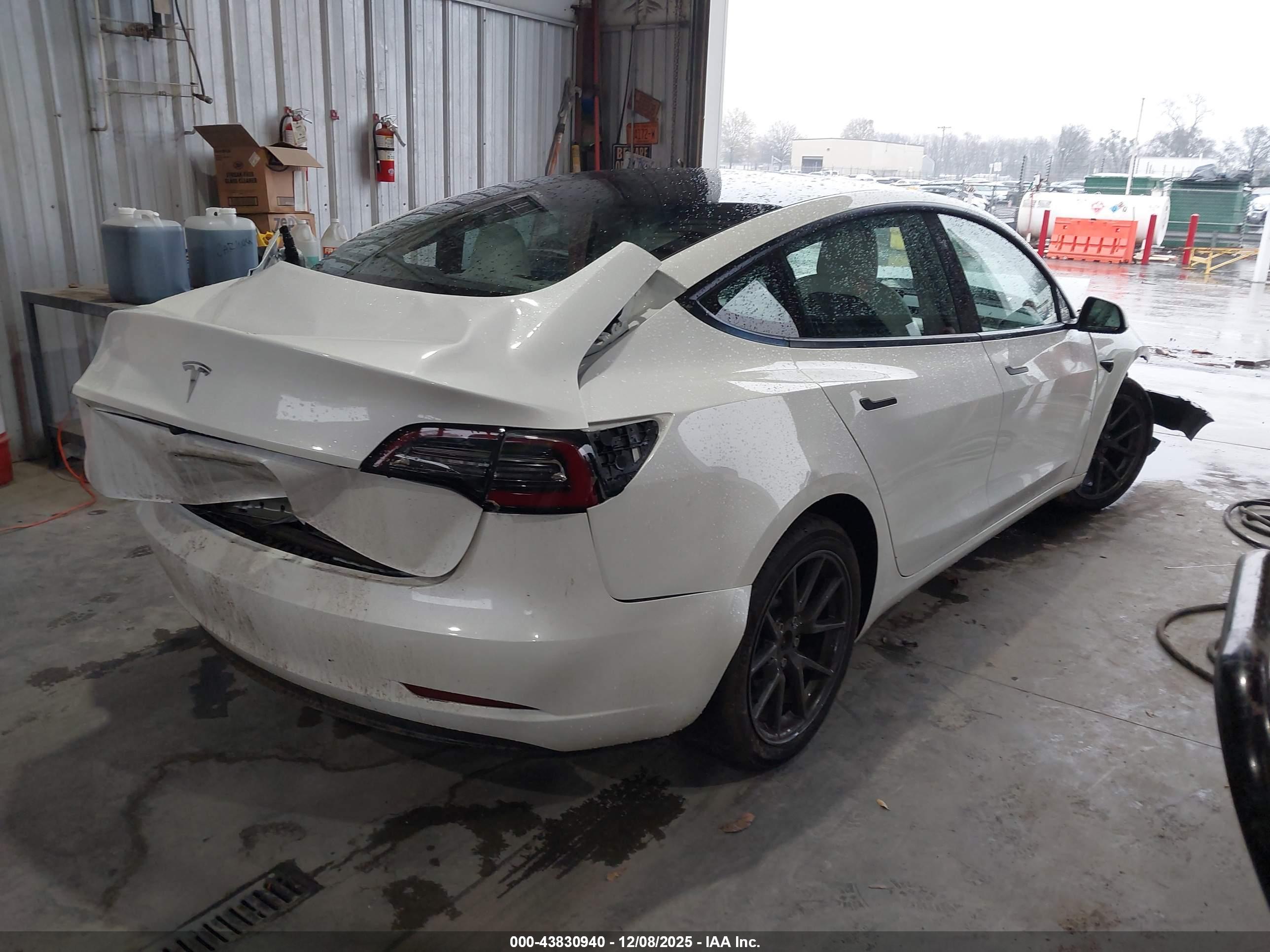 TESLA MODEL image 4